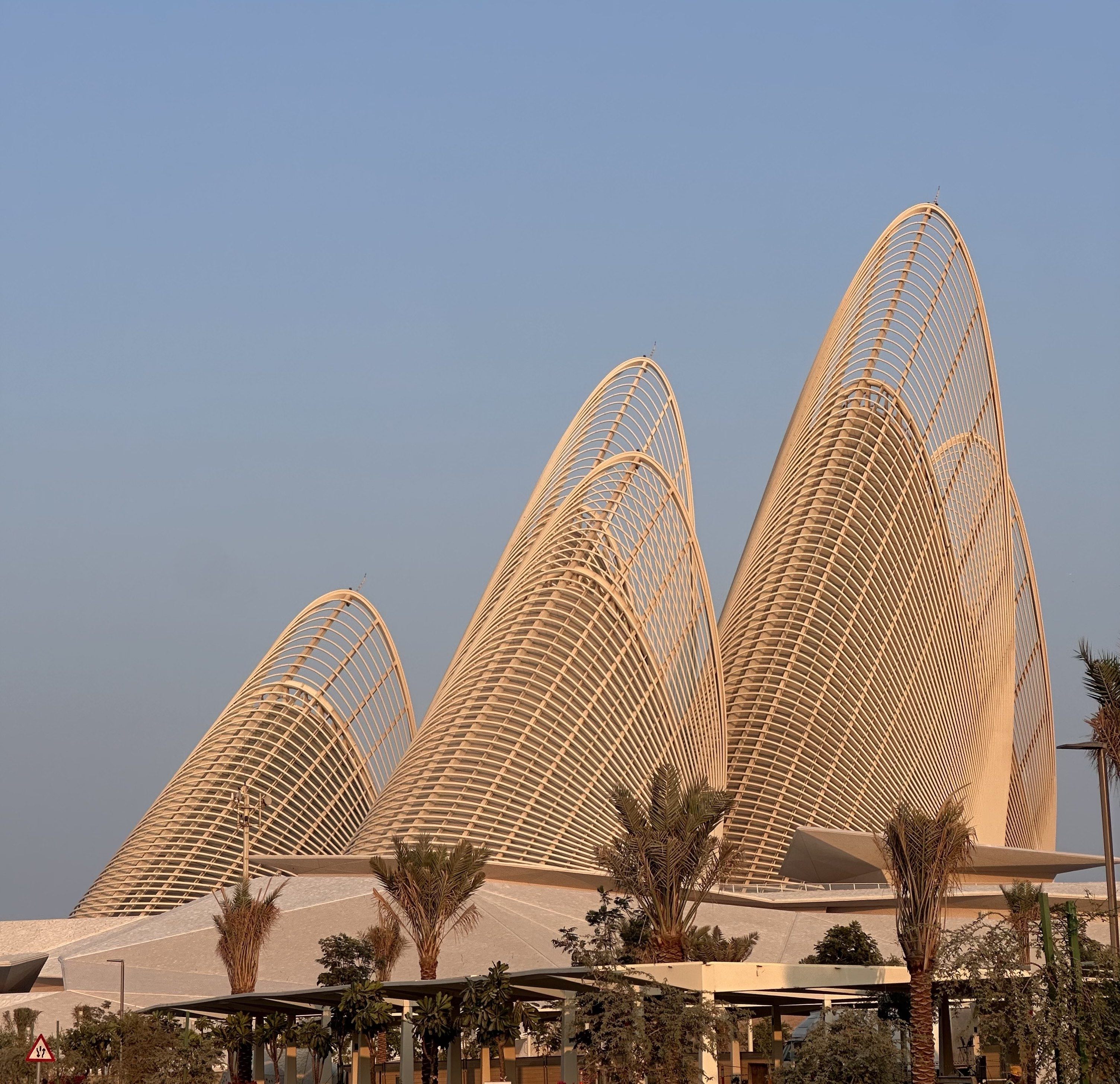 Guiding Architects, destination: Abu Dhabi (Fig. 2)