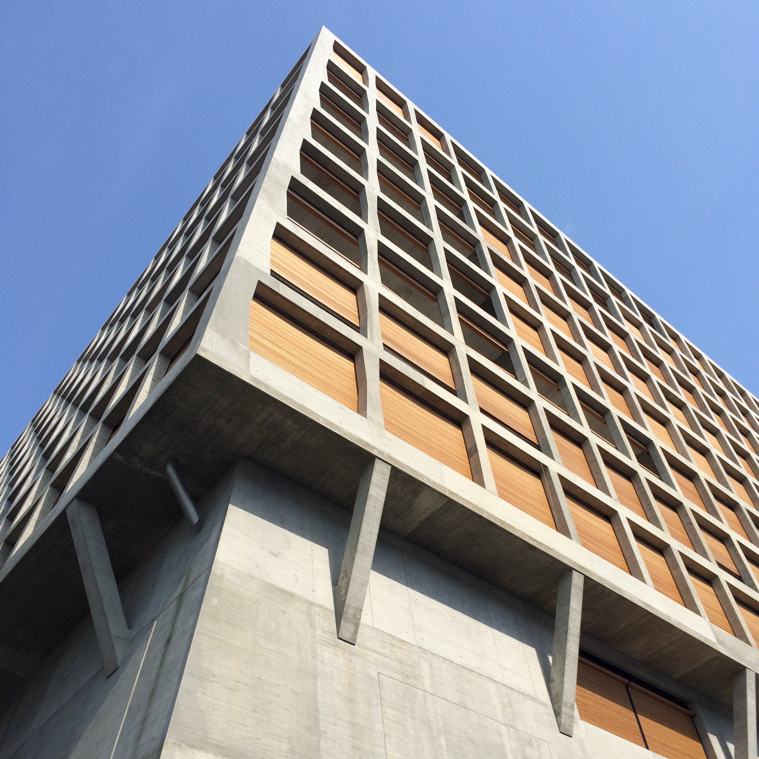 Guiding Architects, destination: Basel (Fig. 6)