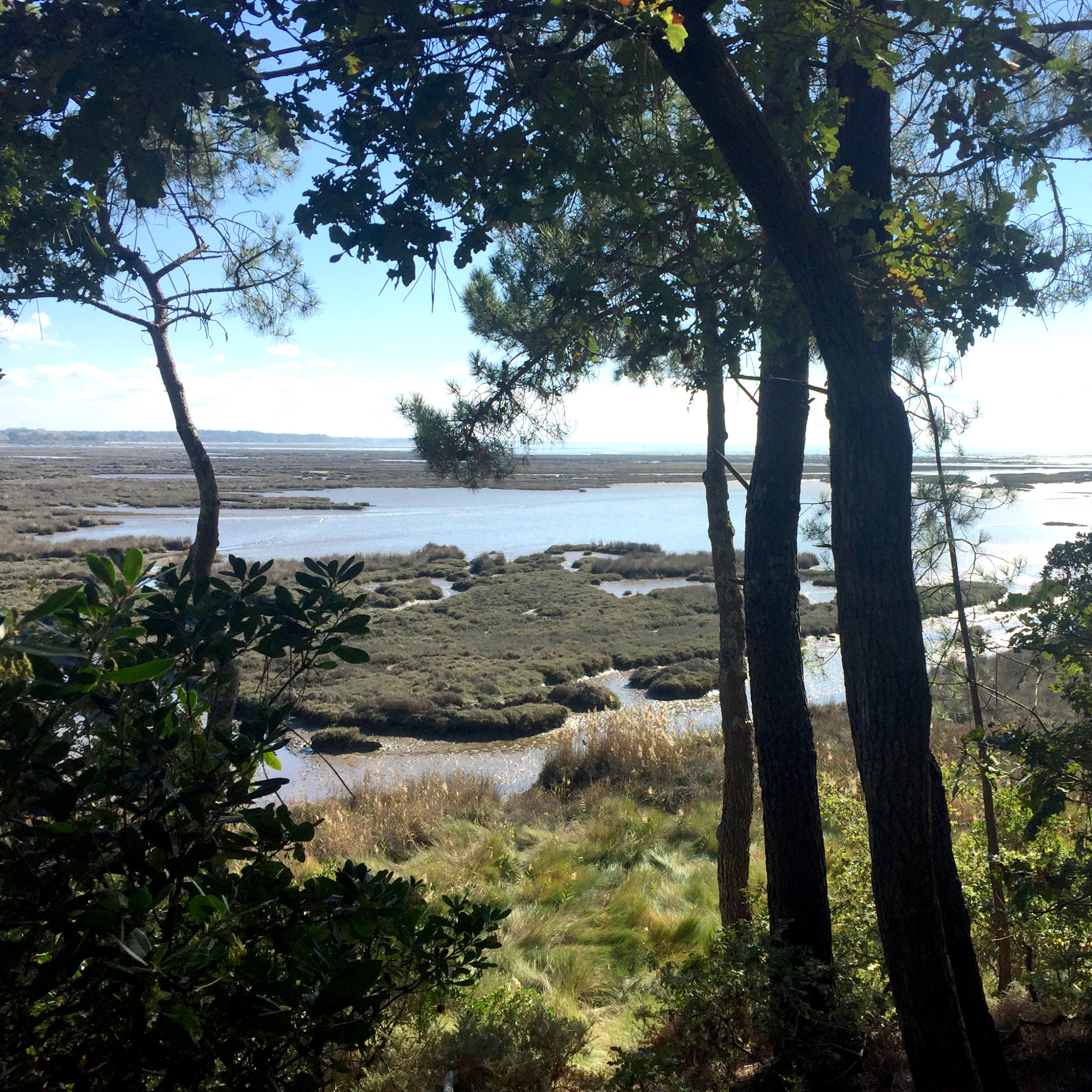 Destination: Cap Ferret (Thumbnail)