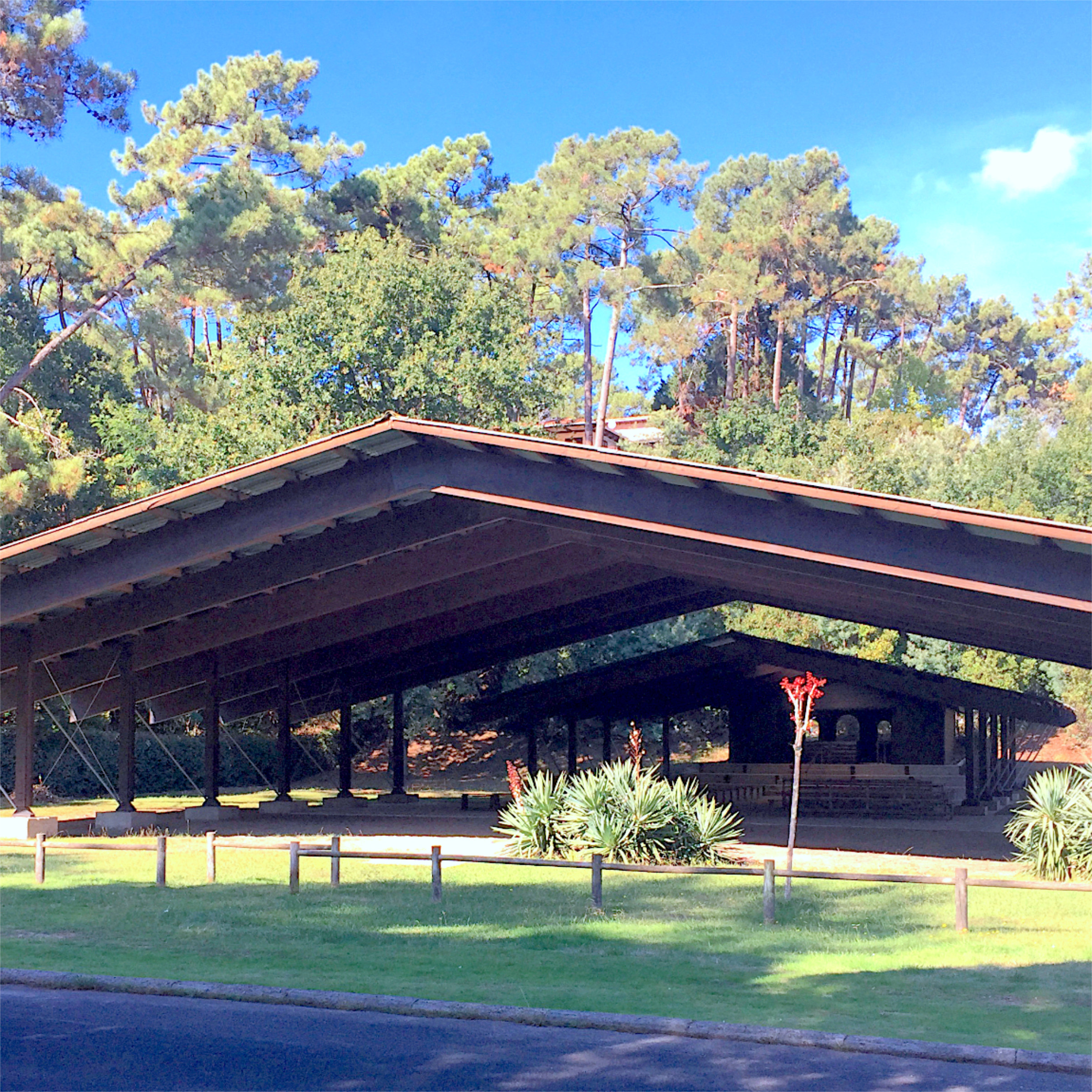 Guiding Architects, destination: Cap Ferret (Fig. 2)