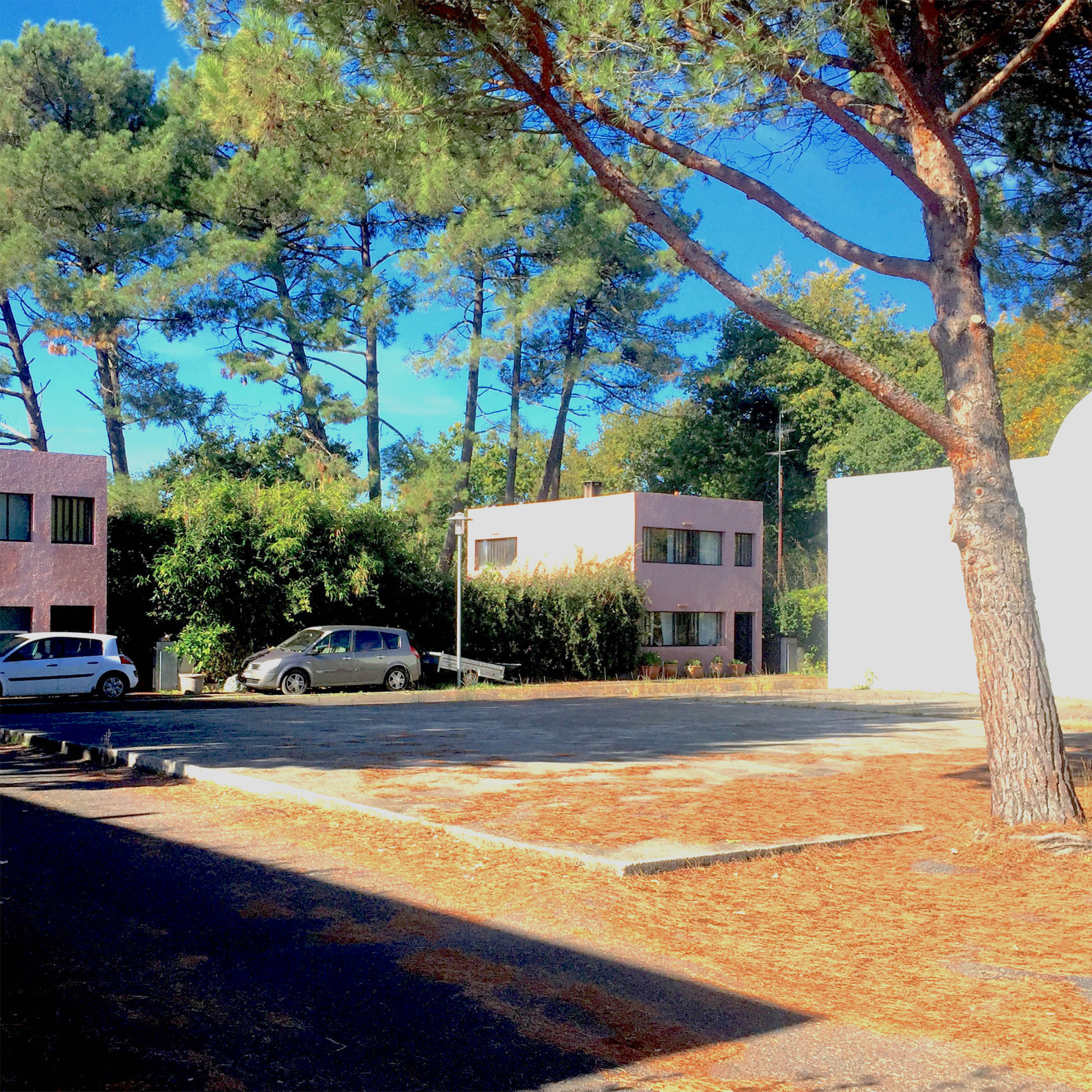 Guiding Architects, destination: Cap Ferret (Fig. 4)