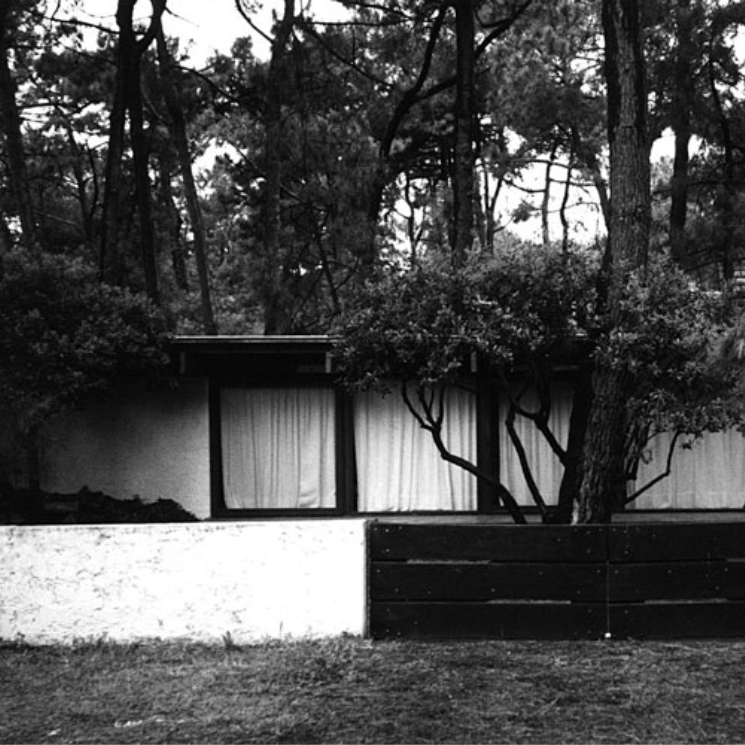 Guiding Architects, destination: Cap Ferret (Fig. 9)