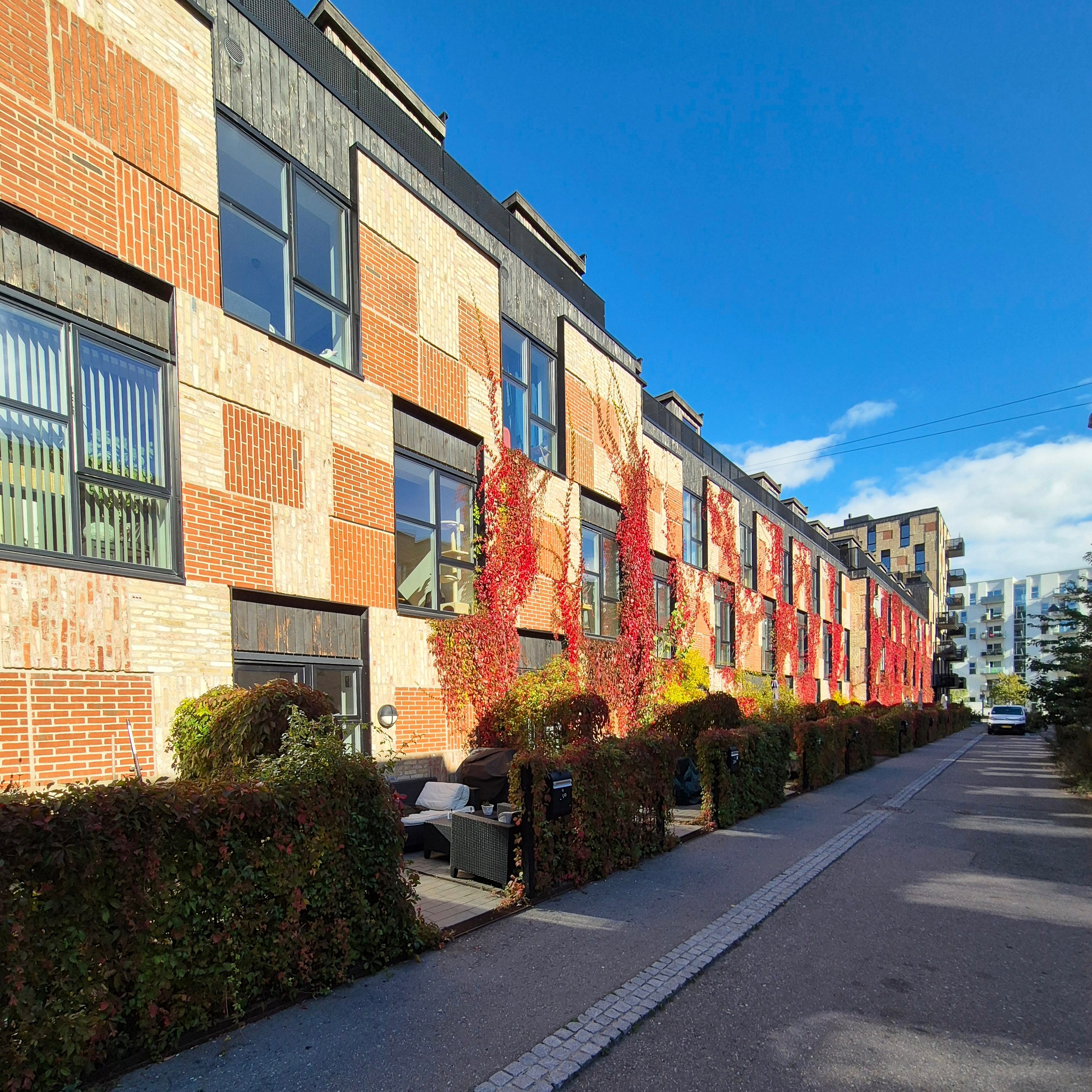 Guiding Architects, destination: Copenhagen (Fig. 4)