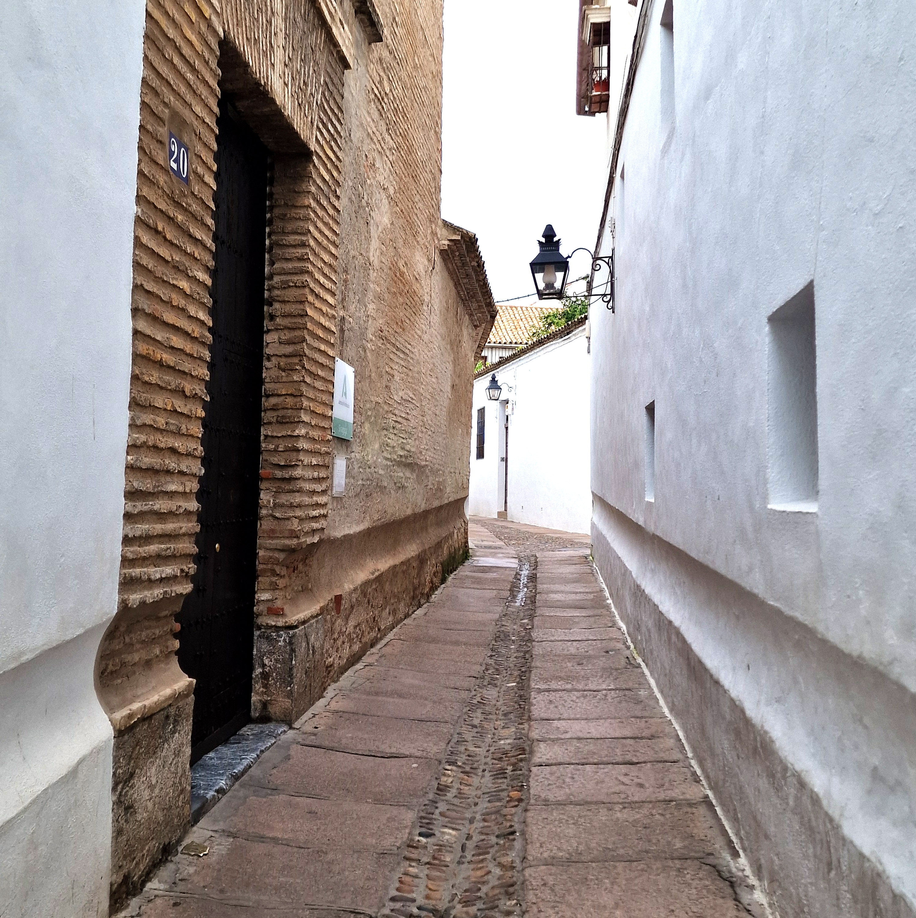 Guiding Architects, destination: Cordoba (Fig. 1)