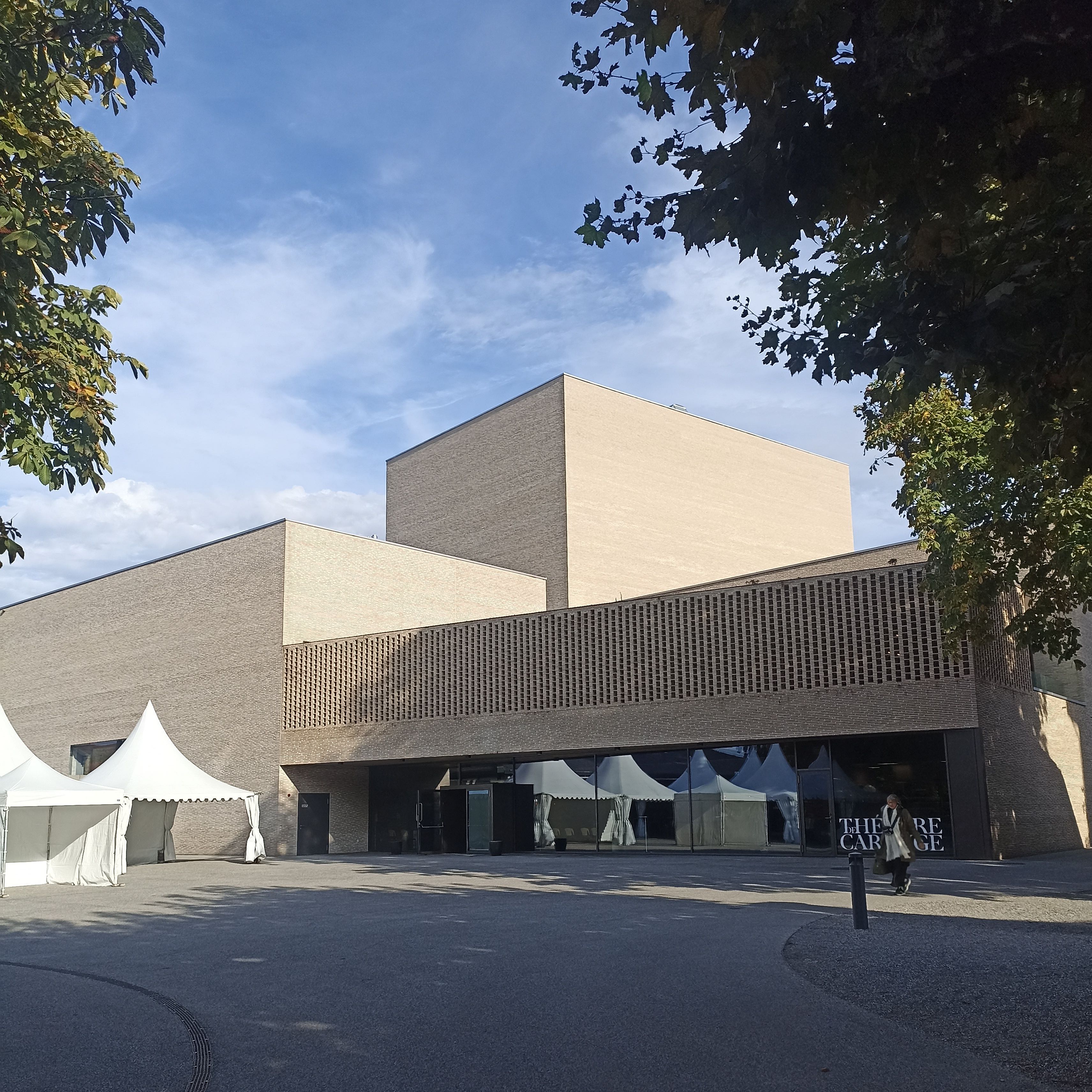 Guiding Architects, destination: Geneva (Fig. 6)