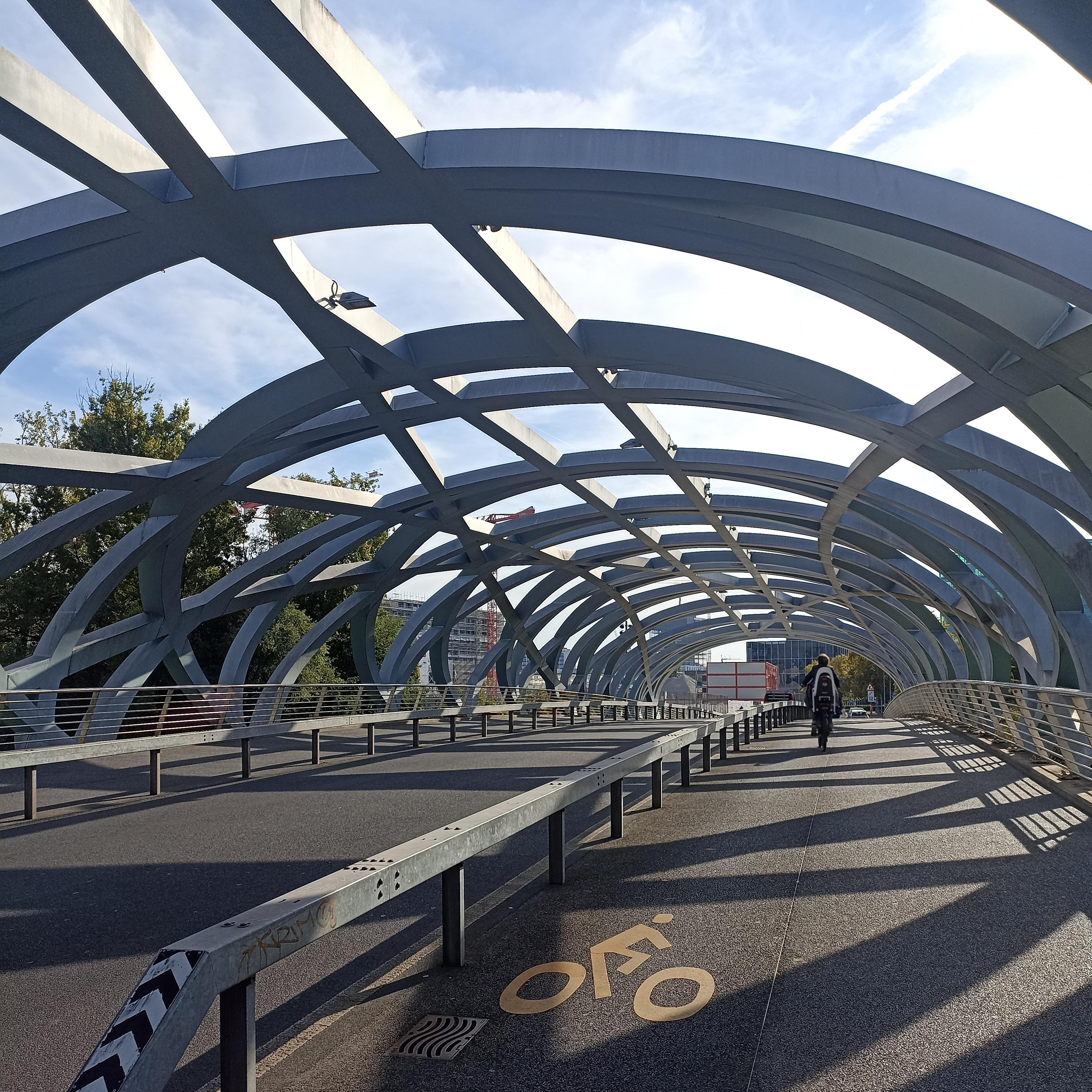 Guiding Architects, destination: Geneva (Fig. 4)
