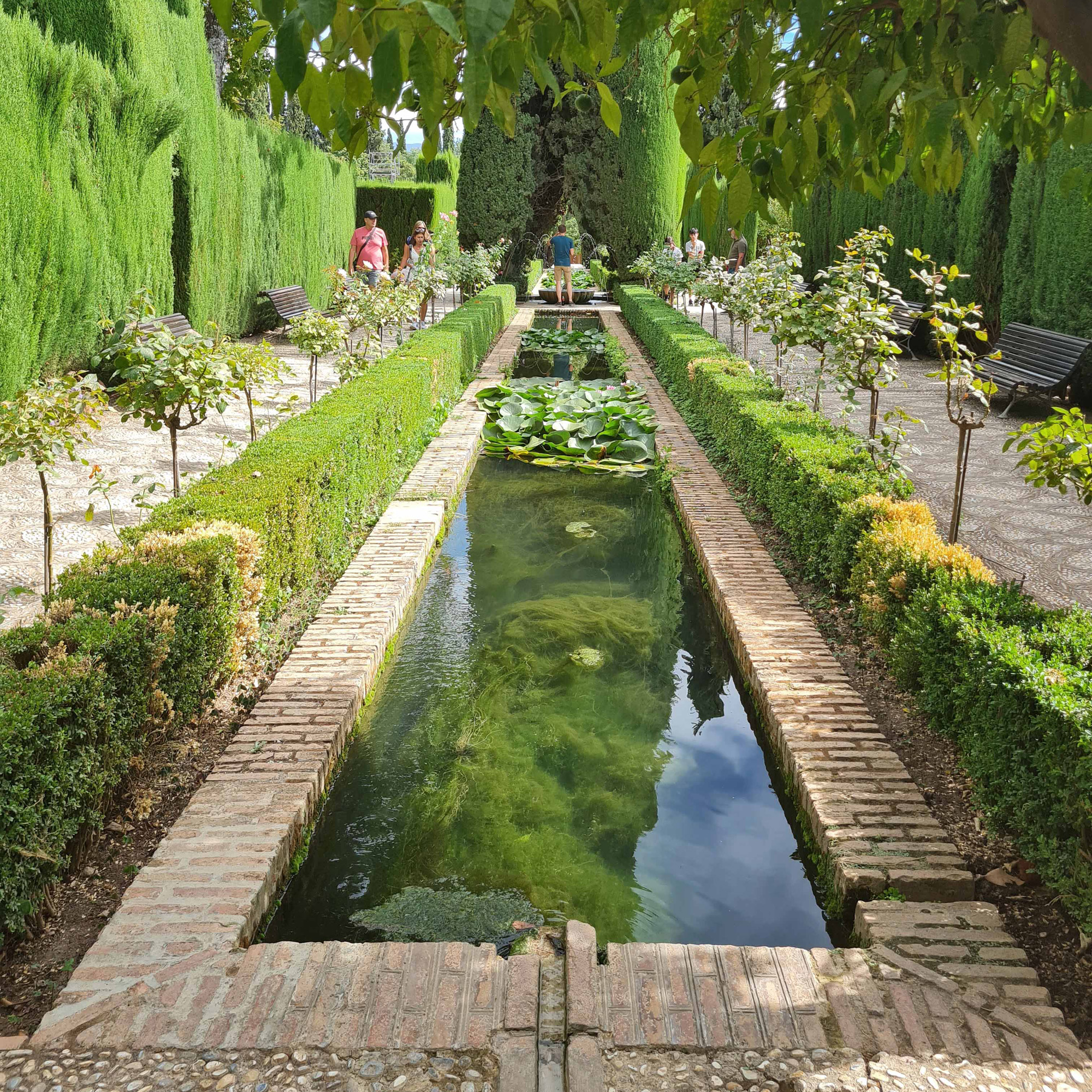 Guiding Architects, destination: Granada (Fig. 5)