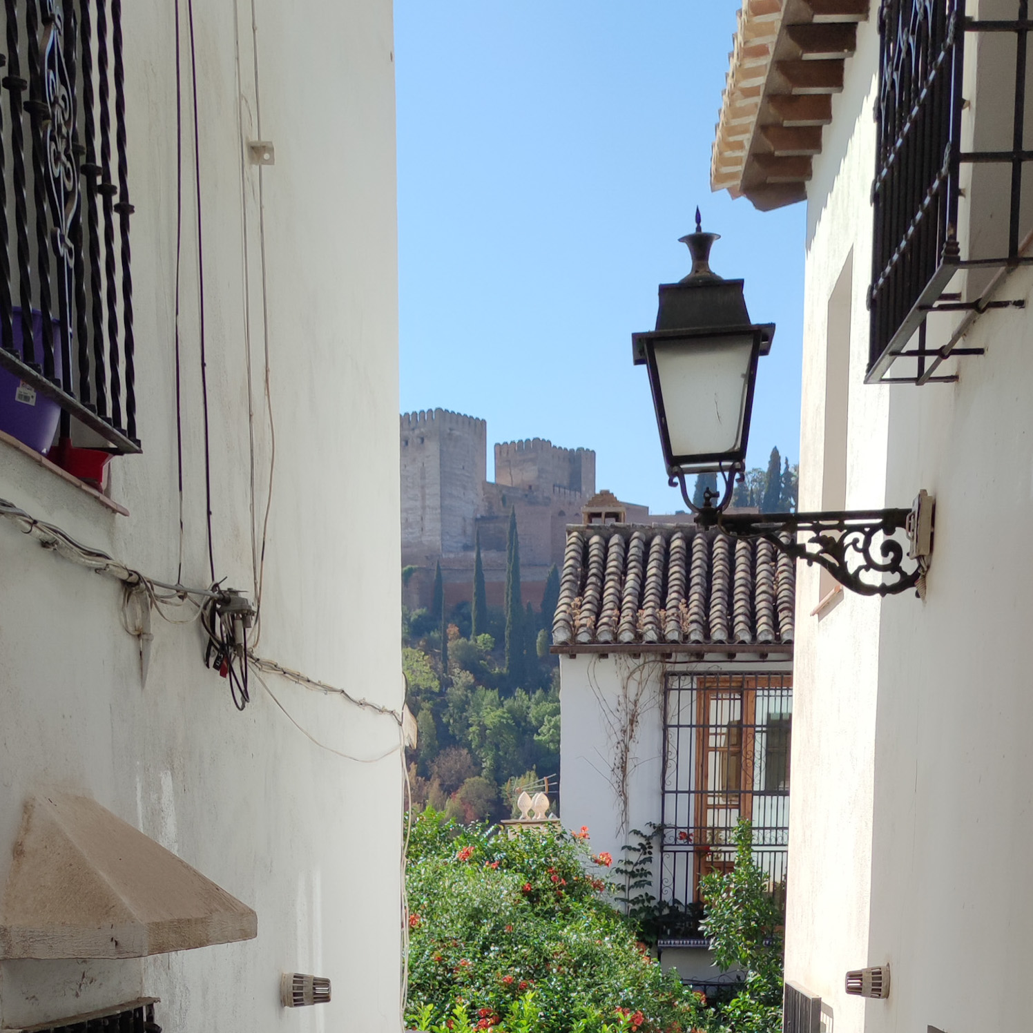 Guiding Architects, destination: Granada (Fig. 4)