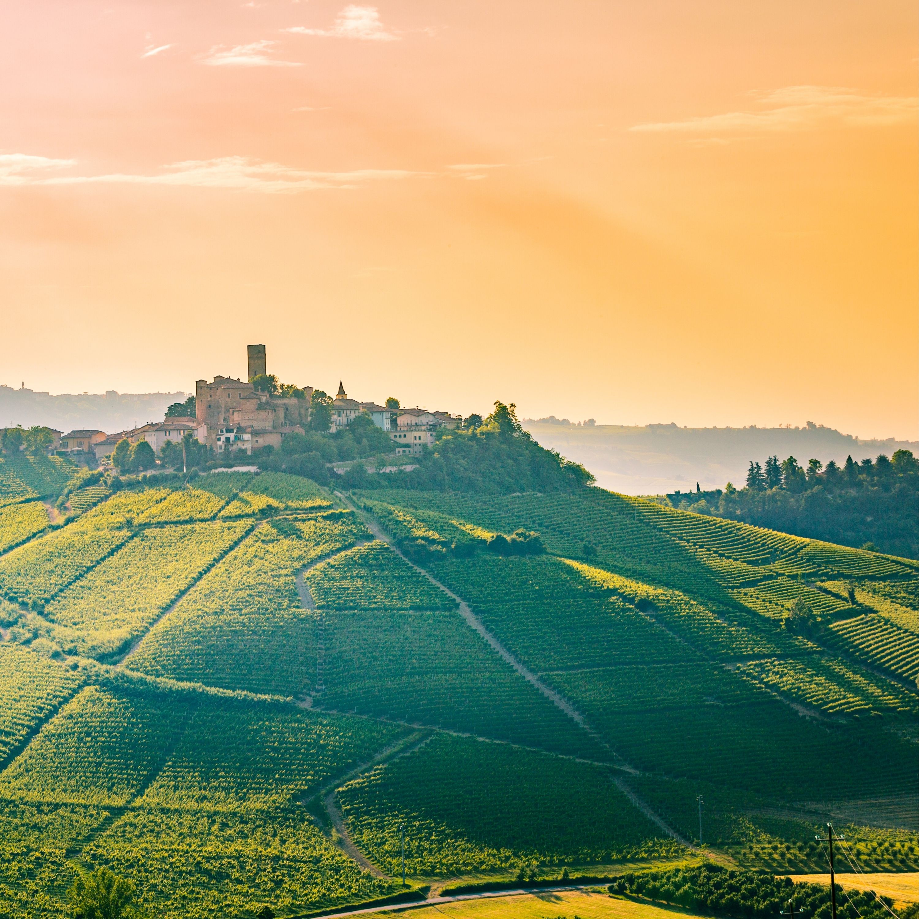 Destination: Langhe & Monferrato (Thumbnail)