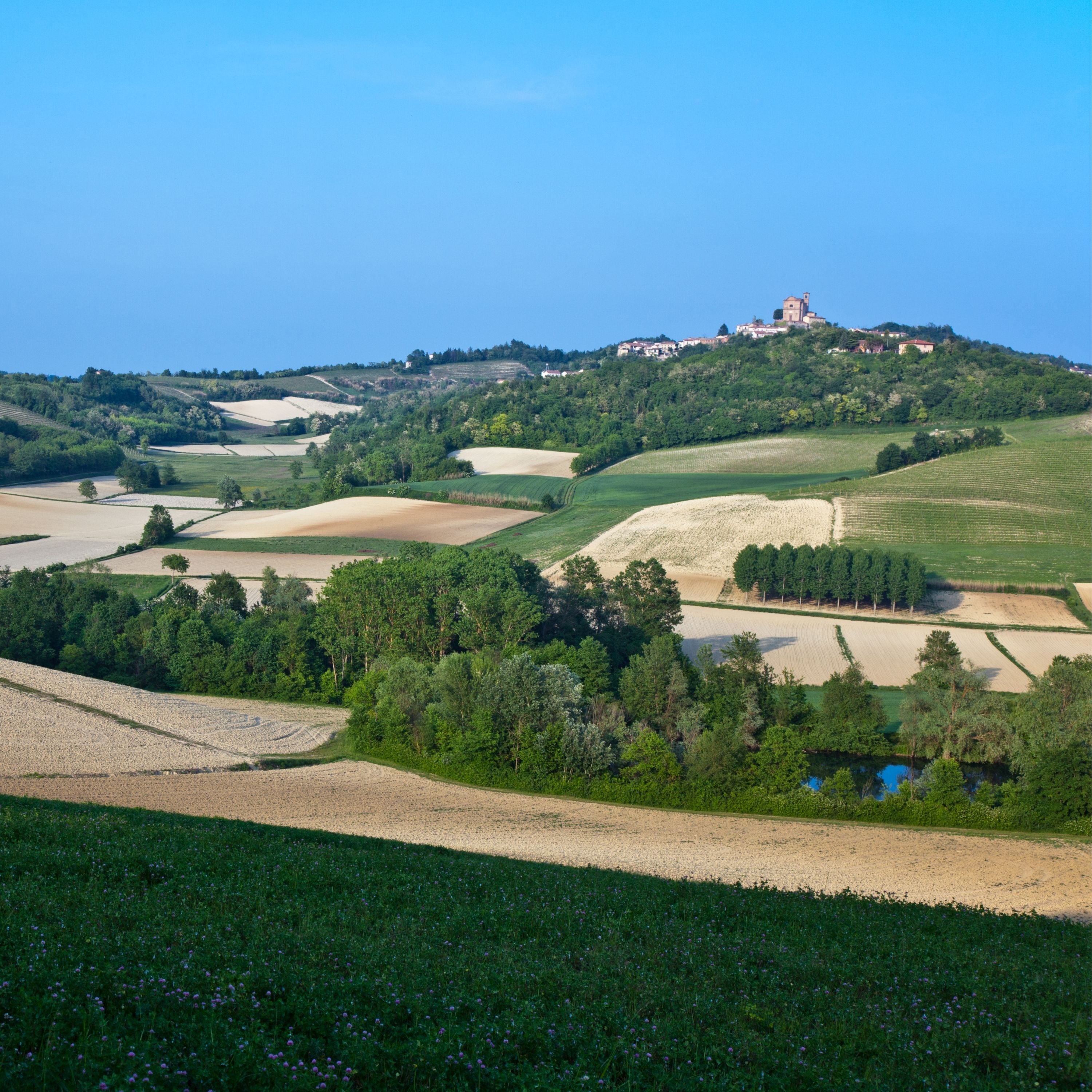 Guiding Architects, destination: Langhe & Monferrato (Fig. 3)