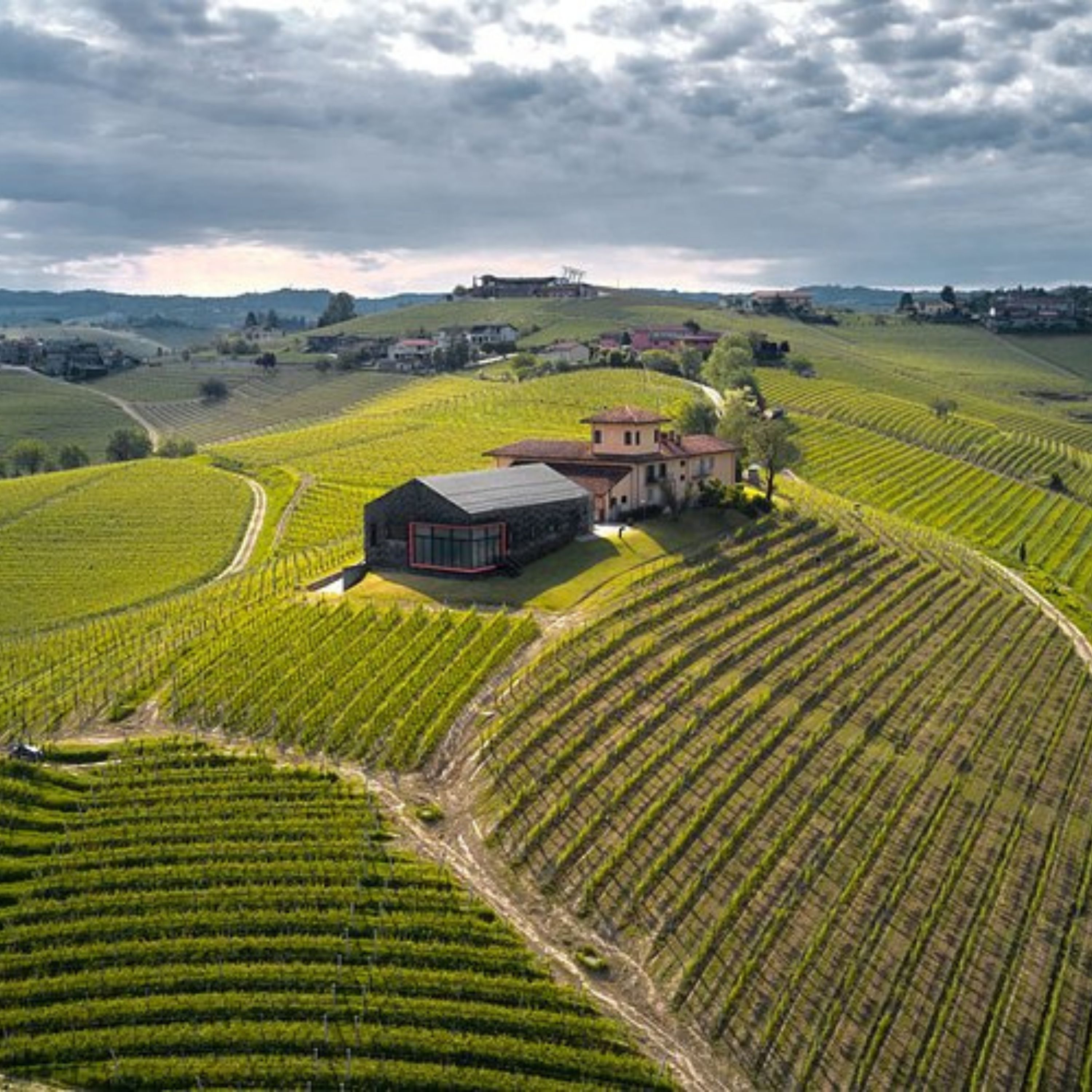 Guiding Architects, destination: Langhe & Monferrato (Fig. 4)
