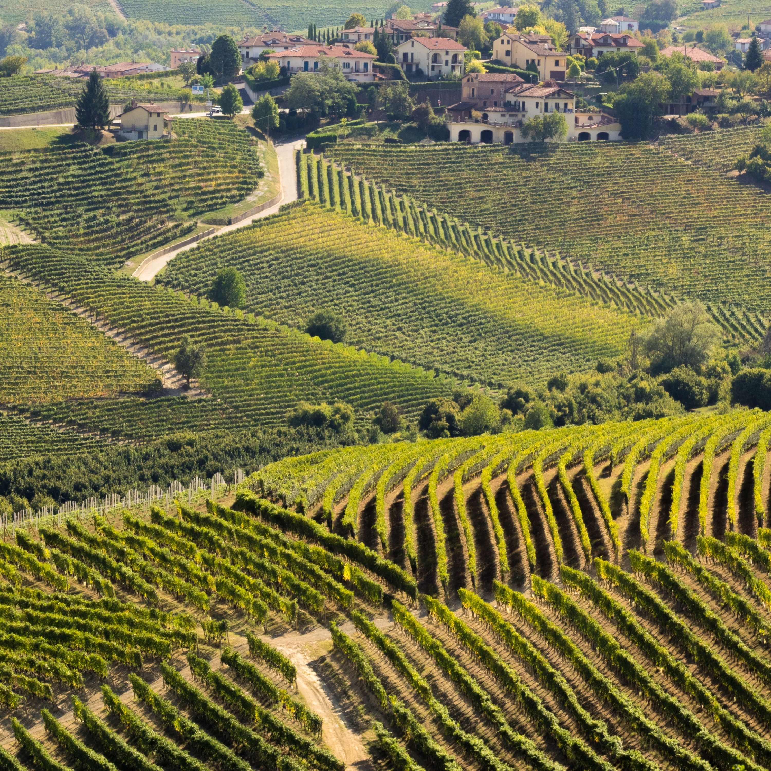 Guiding Architects, destination: Langhe & Monferrato (Fig. 2)