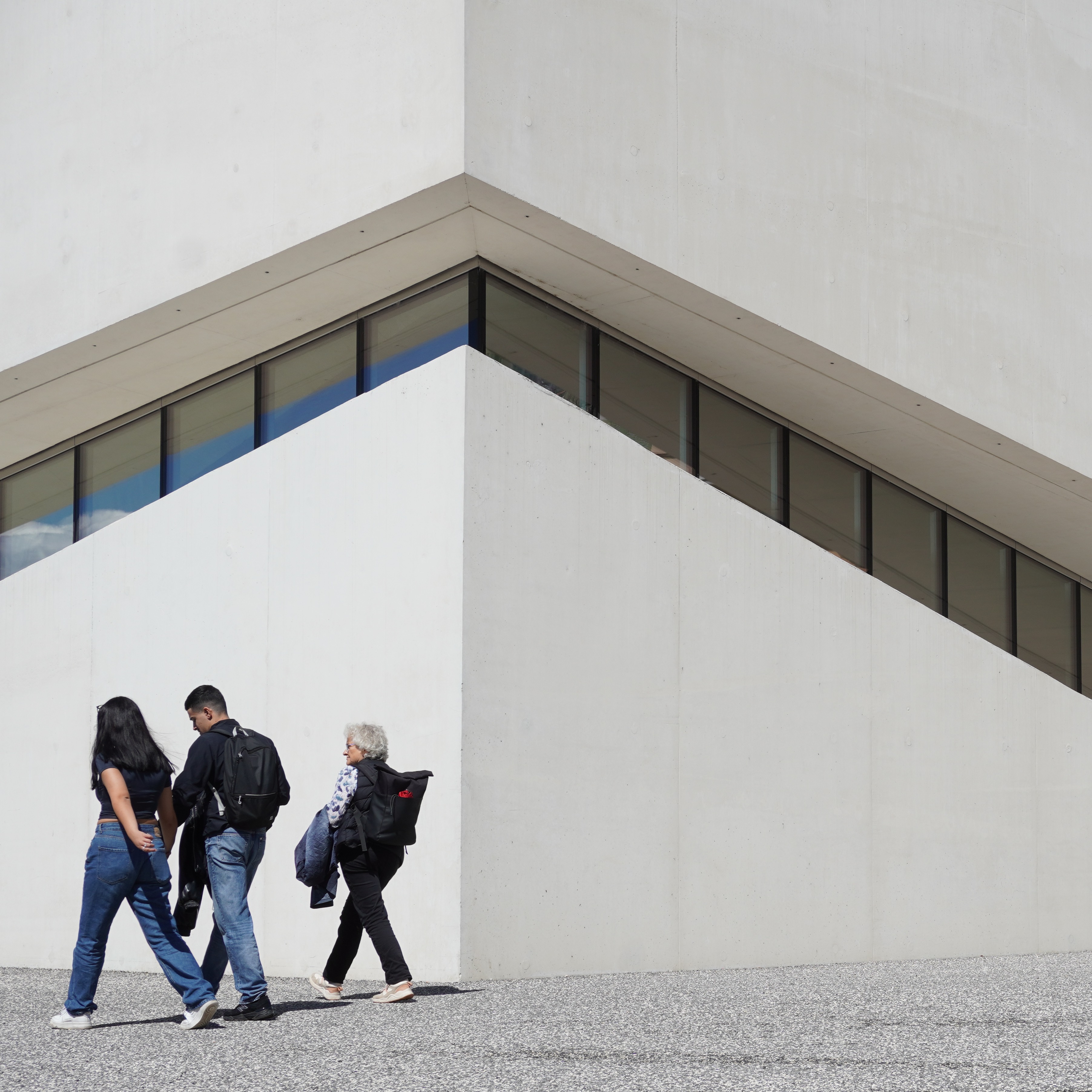 Guiding Architects, destination: Lausanne (Fig. 4)