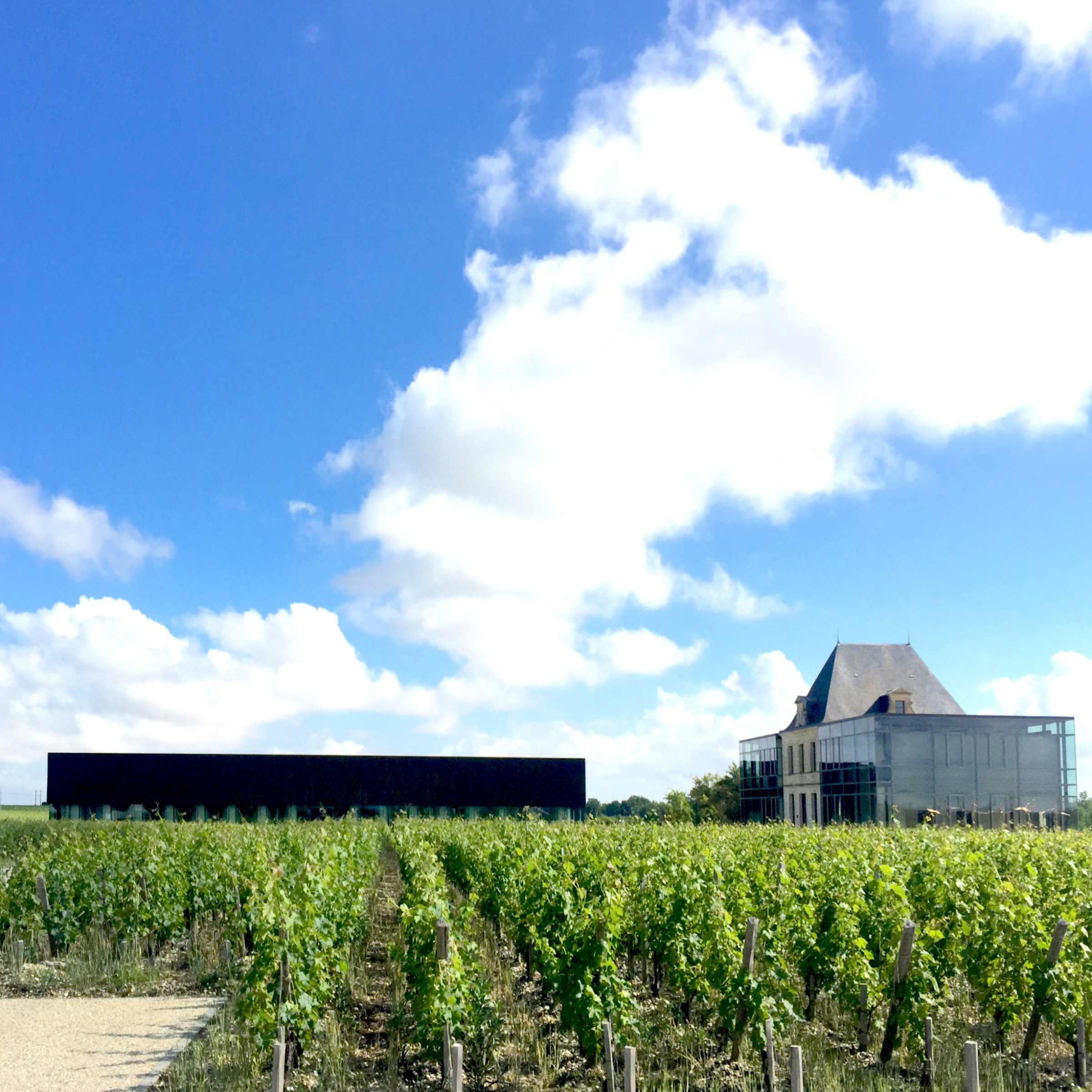 Guiding Architects, destination: Libournais & Médoc (Fig. 2)