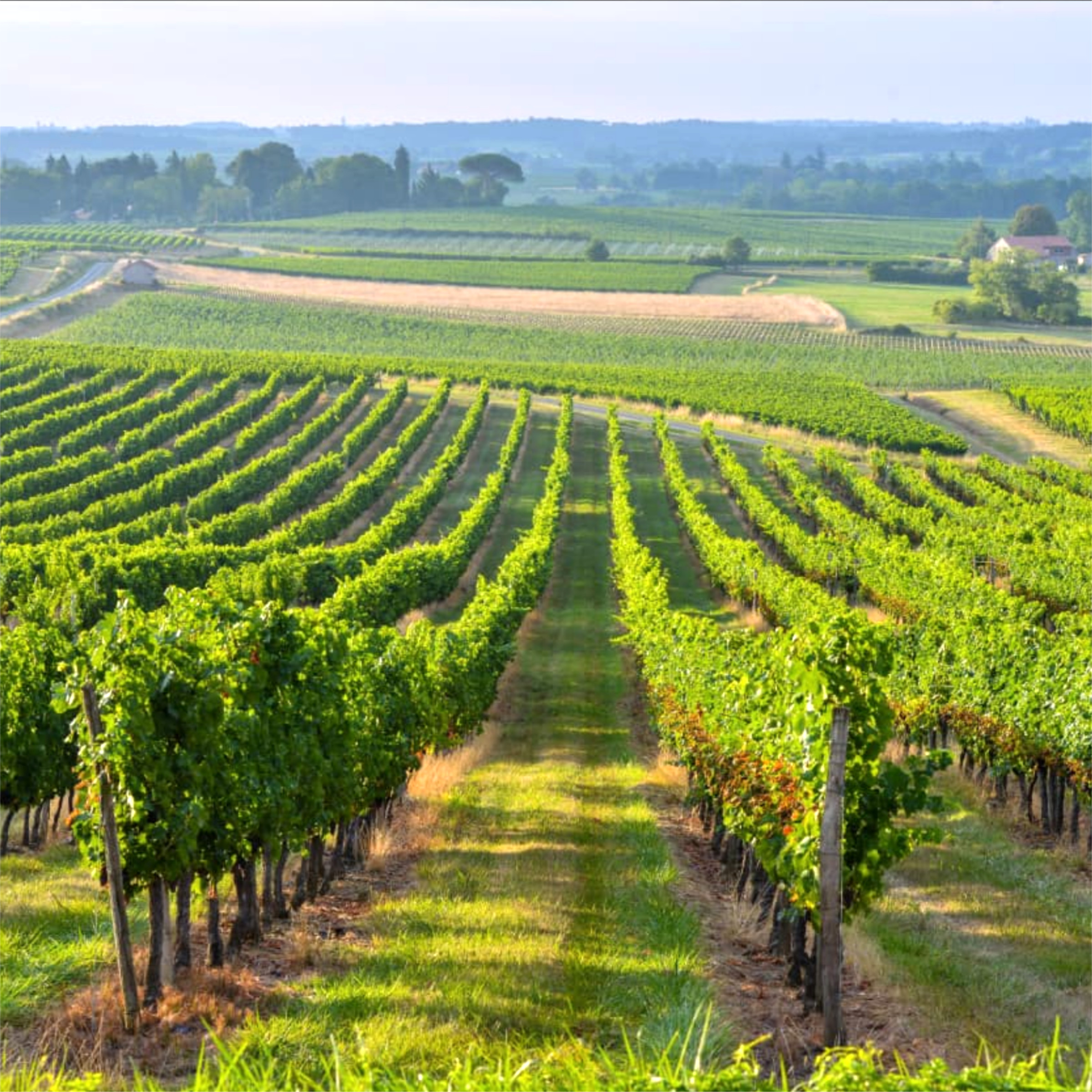 Destination: Libournais & Médoc (Thumbnail)
