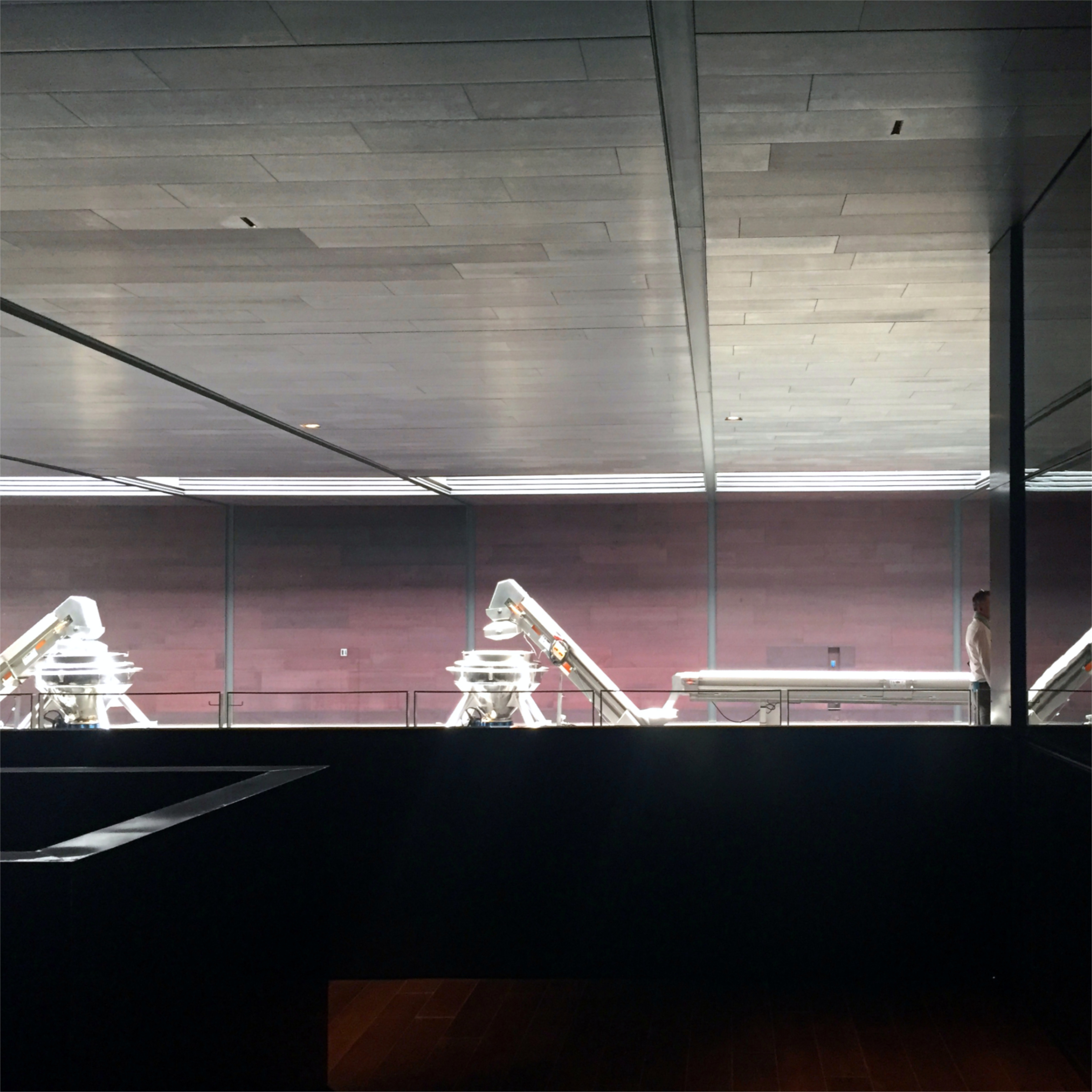 Guiding Architects, destination: Libournais & Médoc (Fig. 8)
