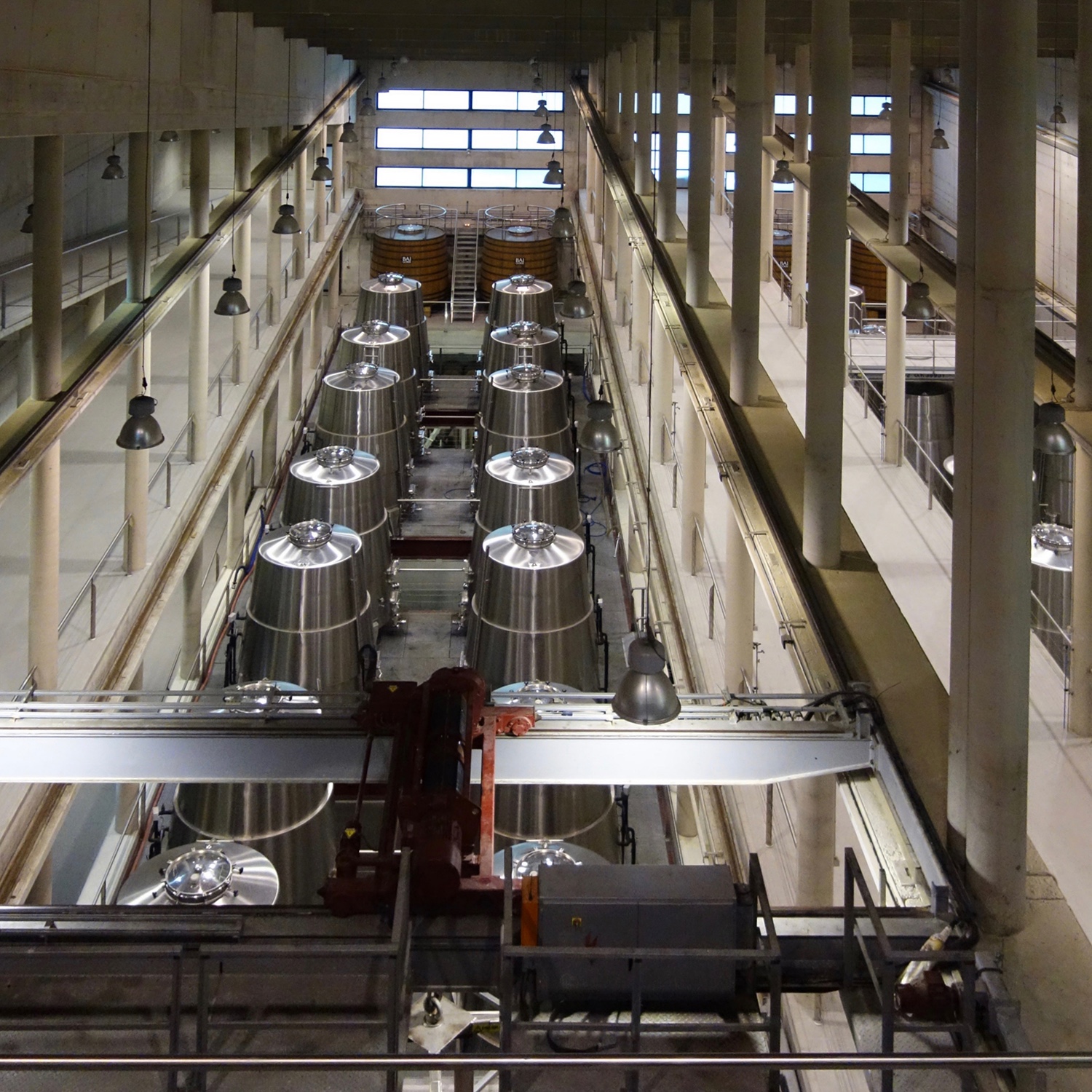 Guiding Architects, destination: Logroño and La Rioja (Fig. 2)