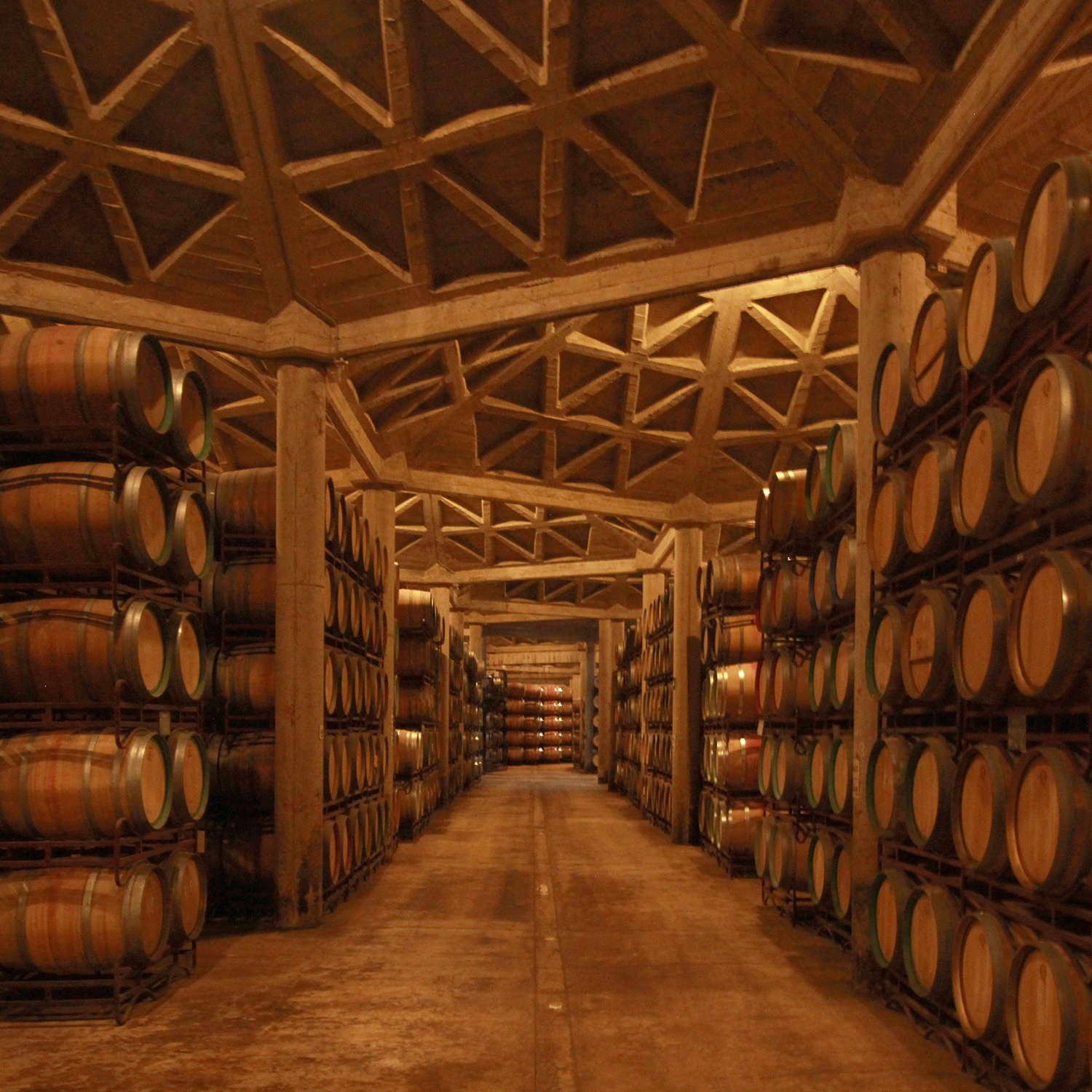 Guiding Architects, destination: Logroño and La Rioja (Fig. 9)