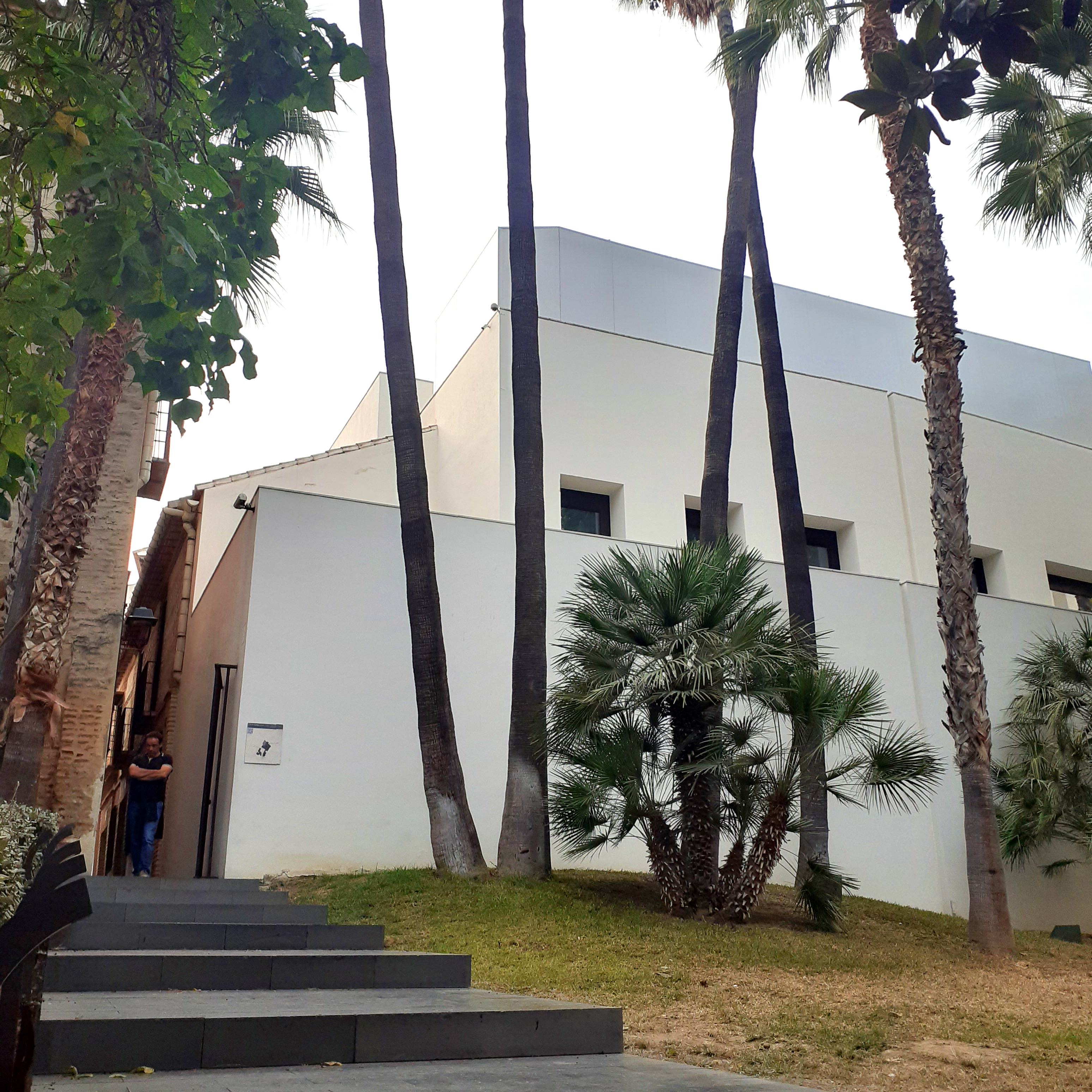 Guiding Architects, destination: Malaga (Fig. 1)