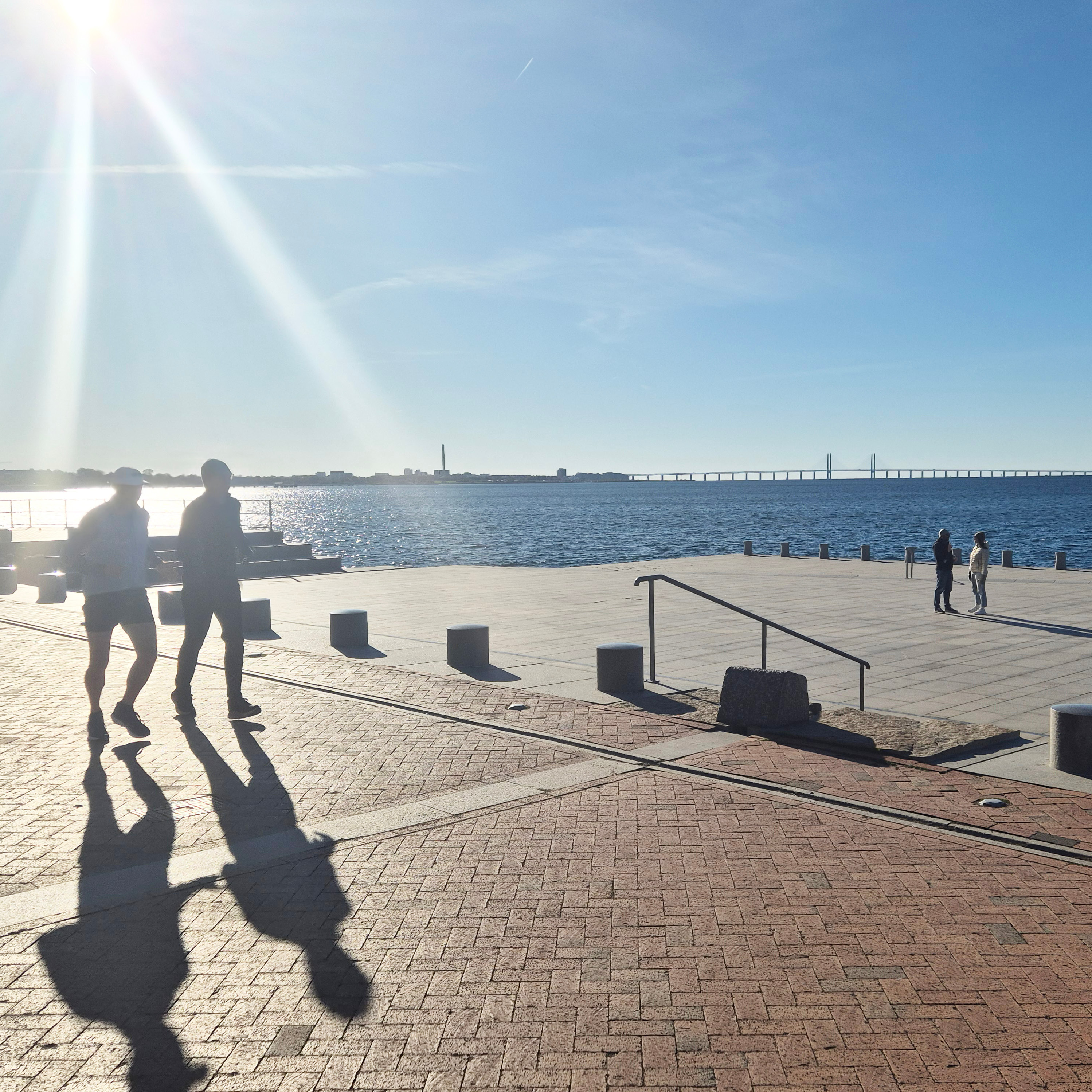 Guiding Architects, destination: Malmö (Fig. 2)