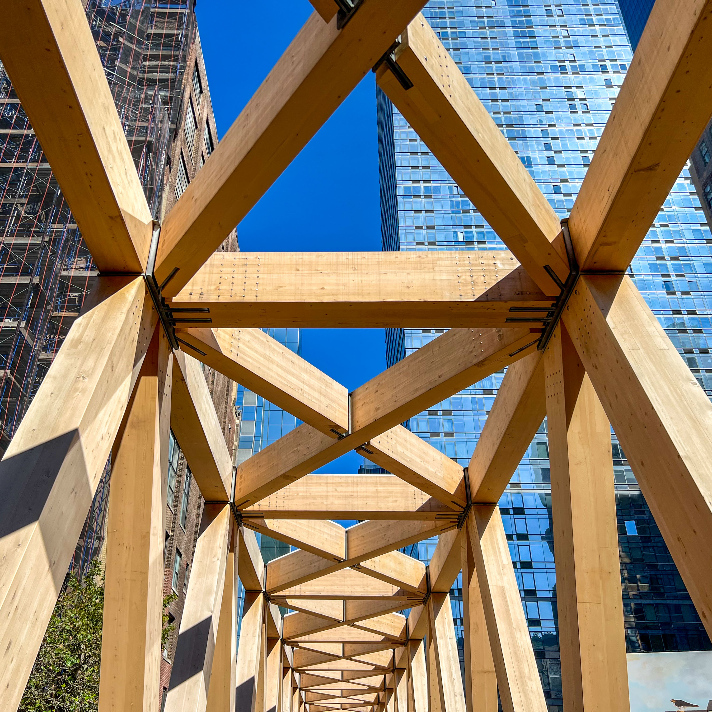Guiding Architects, destination: New York (Fig. 8)