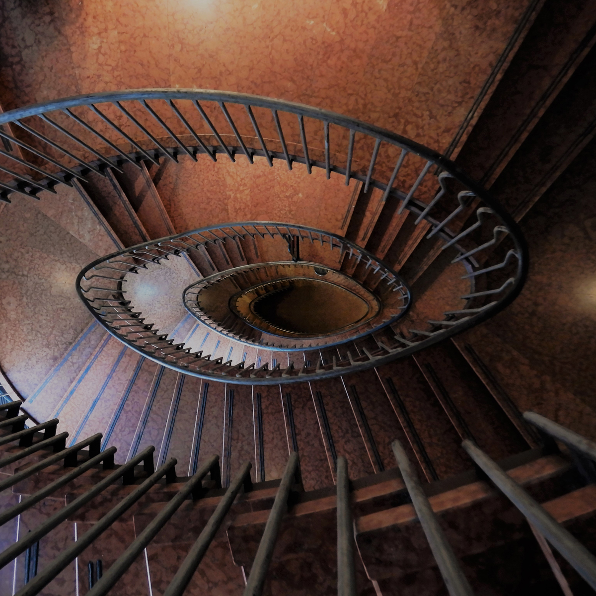 Guiding Architects, destination: Rome (Fig. 6)