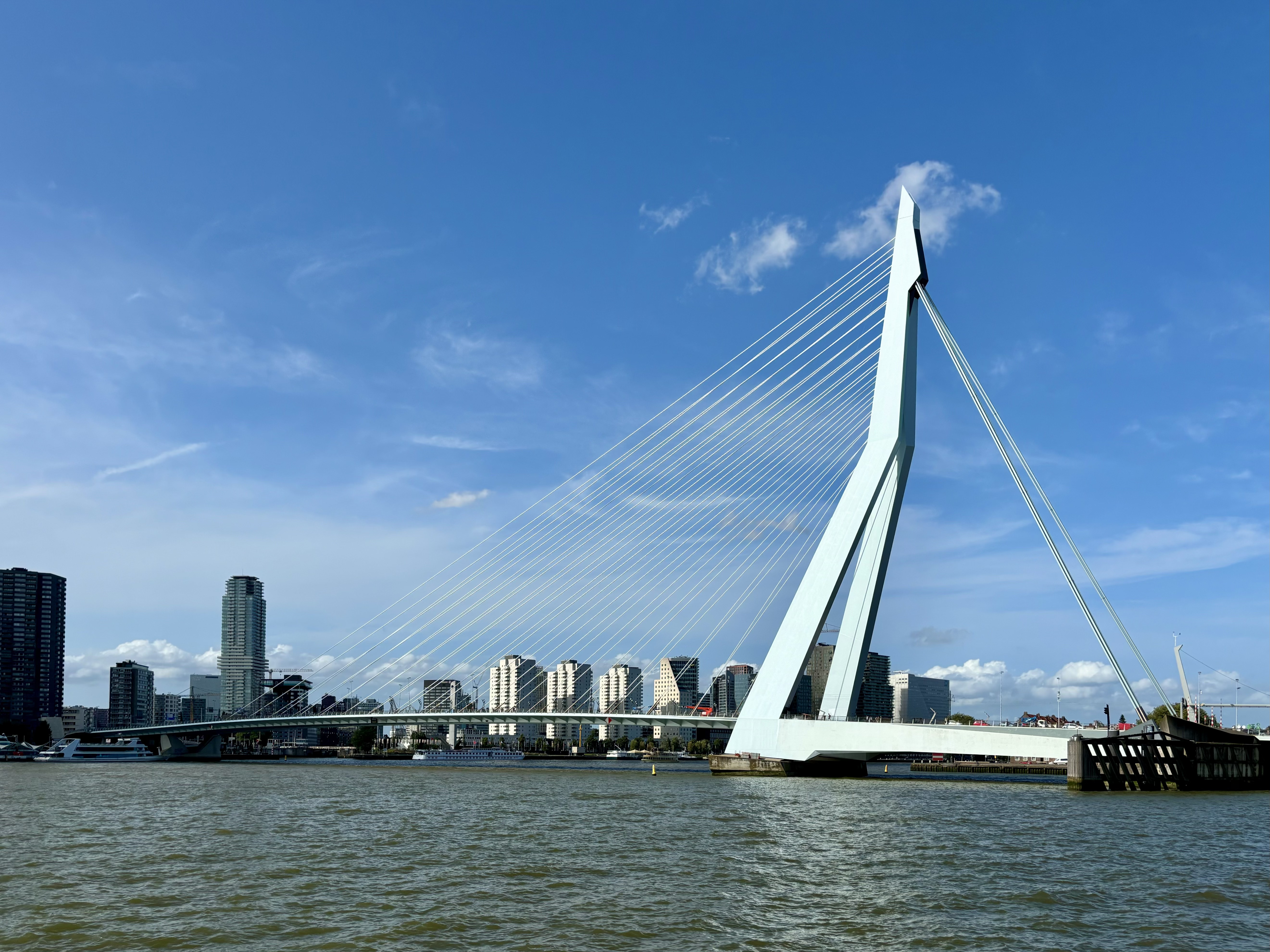Destination: Rotterdam (Thumbnail)