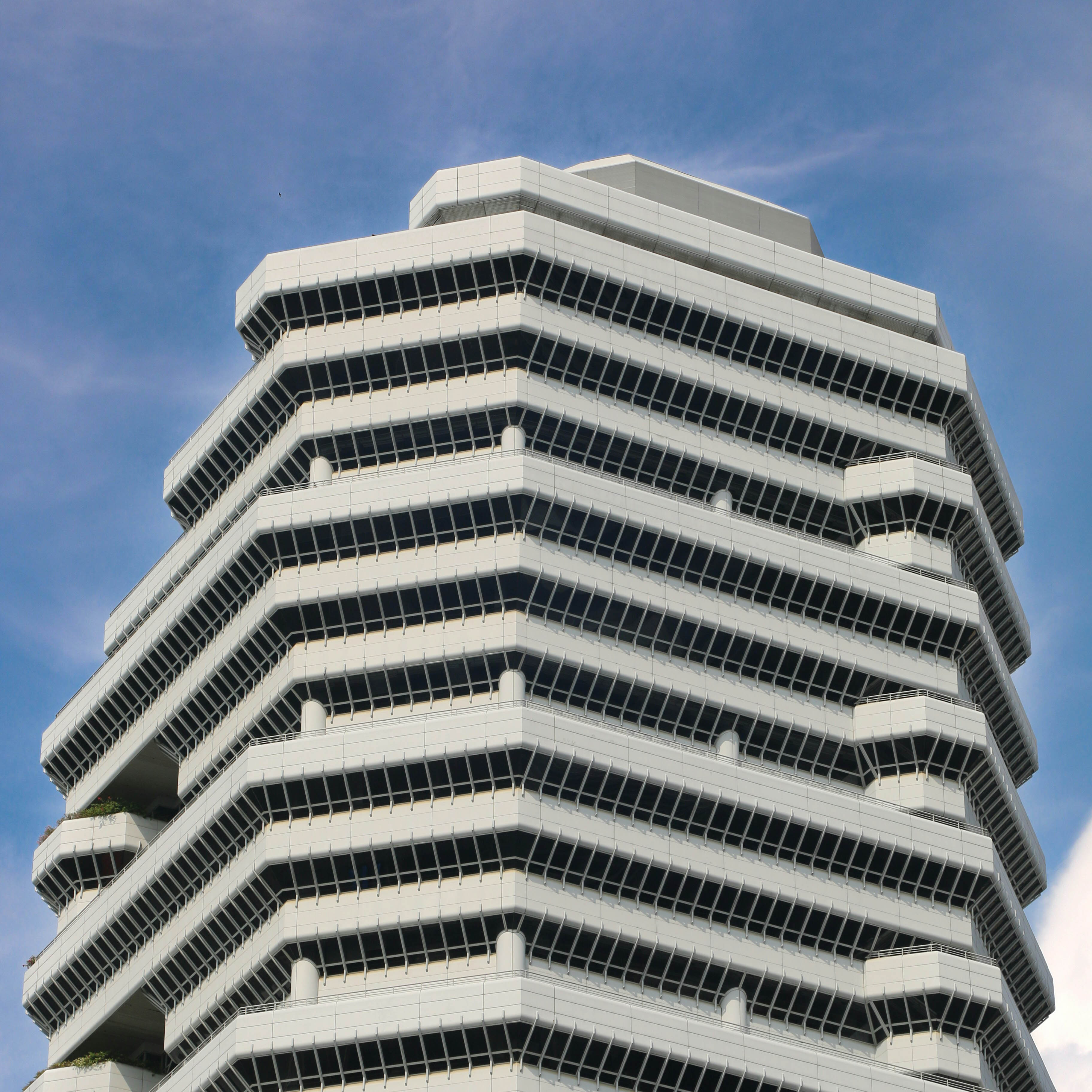 Guiding Architects, destination: Singapore (Fig. 4)