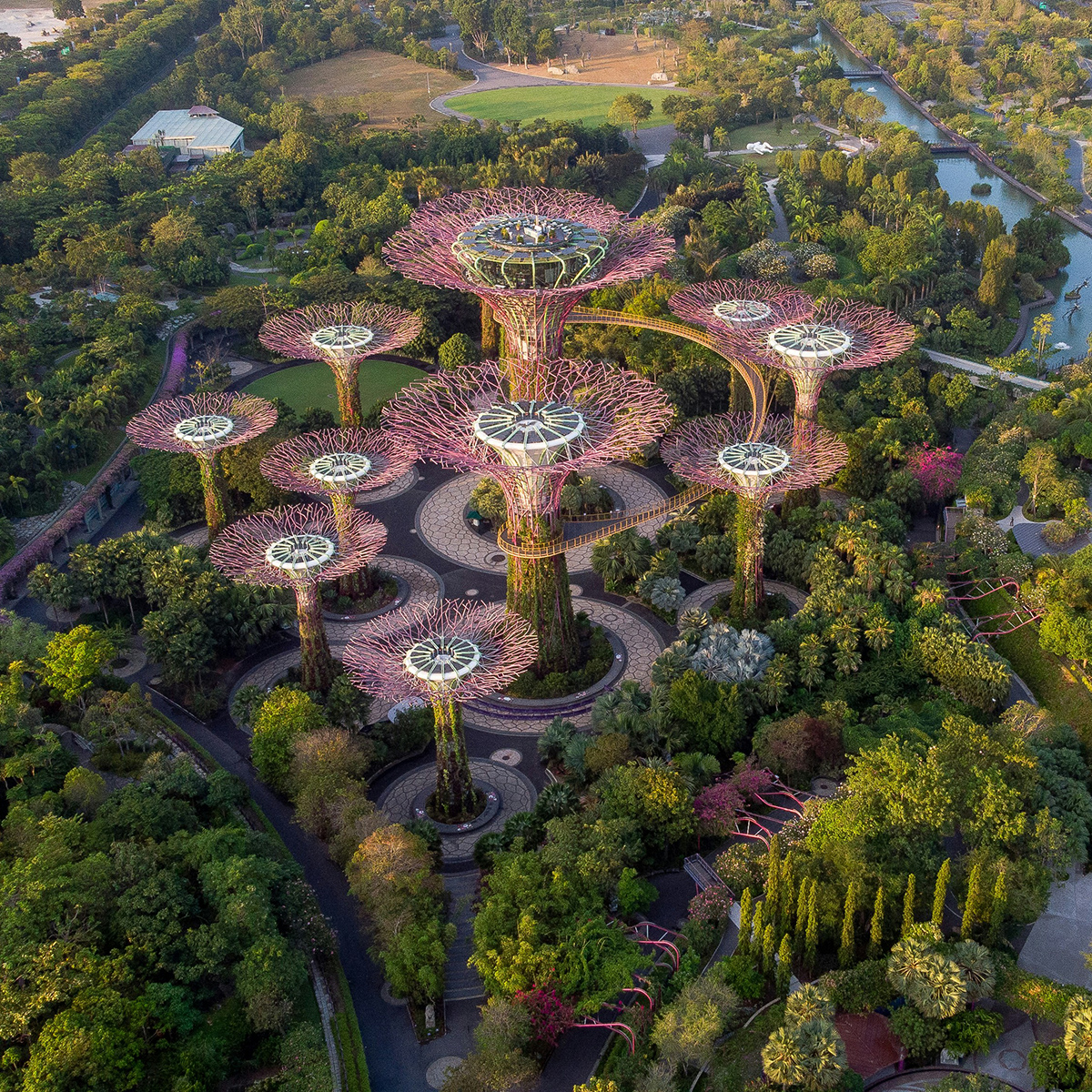 Guiding Architects, destination: Singapore (Fig. 7)