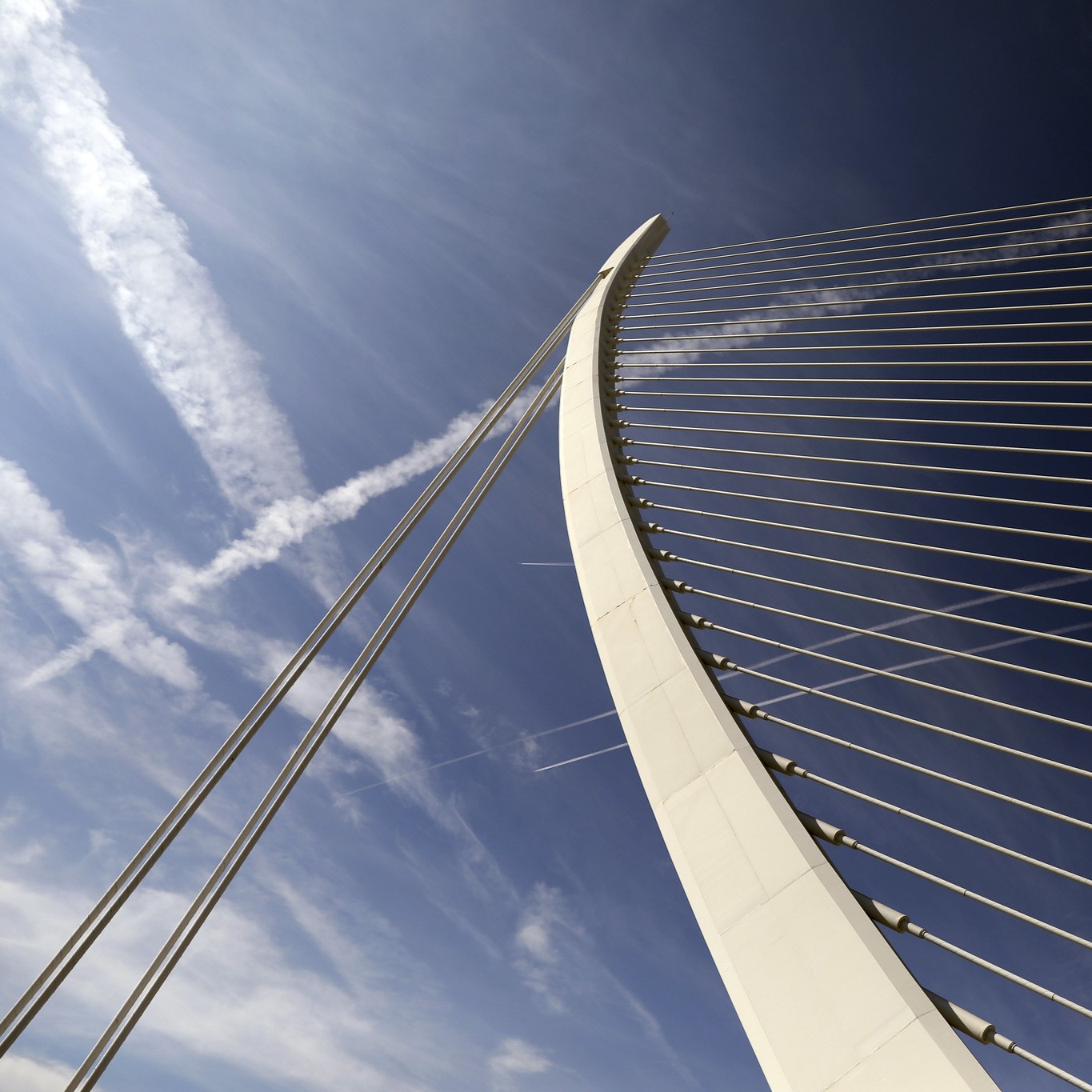 Guiding Architects, destination: Valencia (Fig. 8)