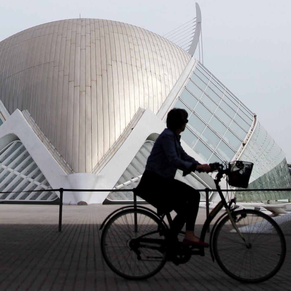 Guiding Architects, destination: Valencia (Fig. 9)