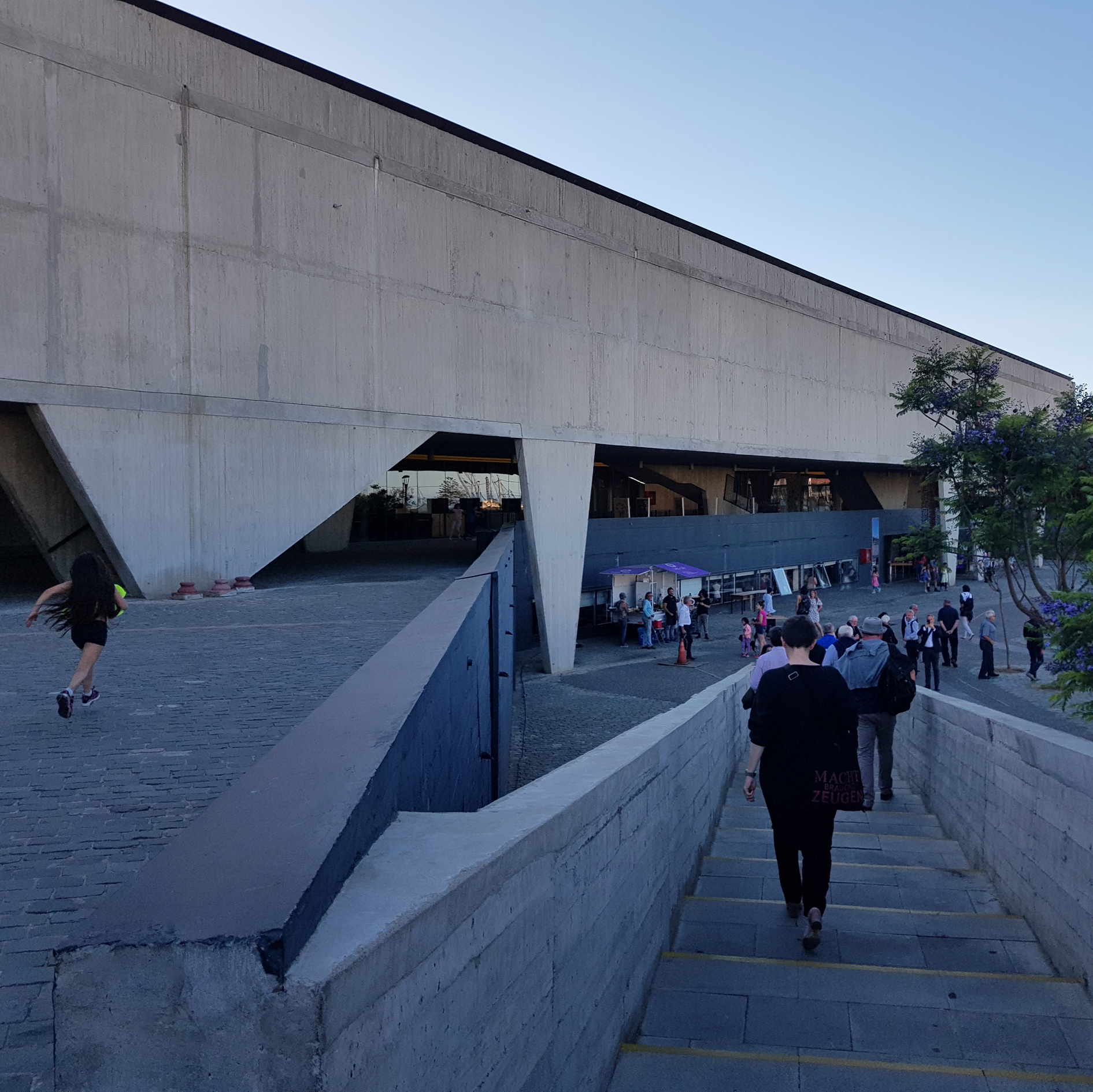 Guiding Architects, destination: Valparaiso (Fig. 3)