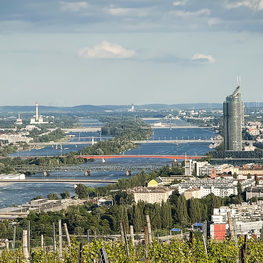 Guiding Architects, destination: Vienna (Fig. 3)