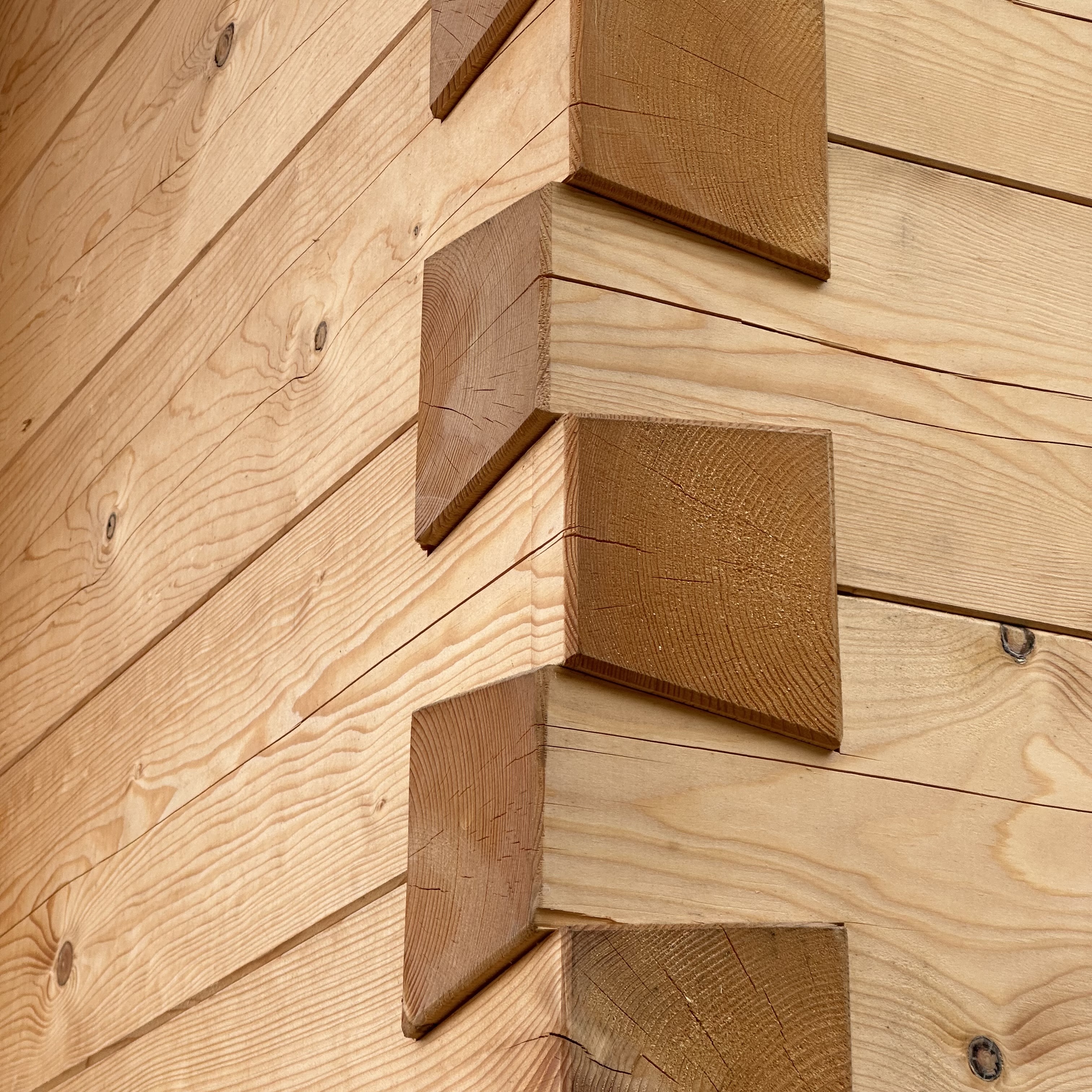 Guiding Architects, destination: Vorarlberg (Fig. 6)