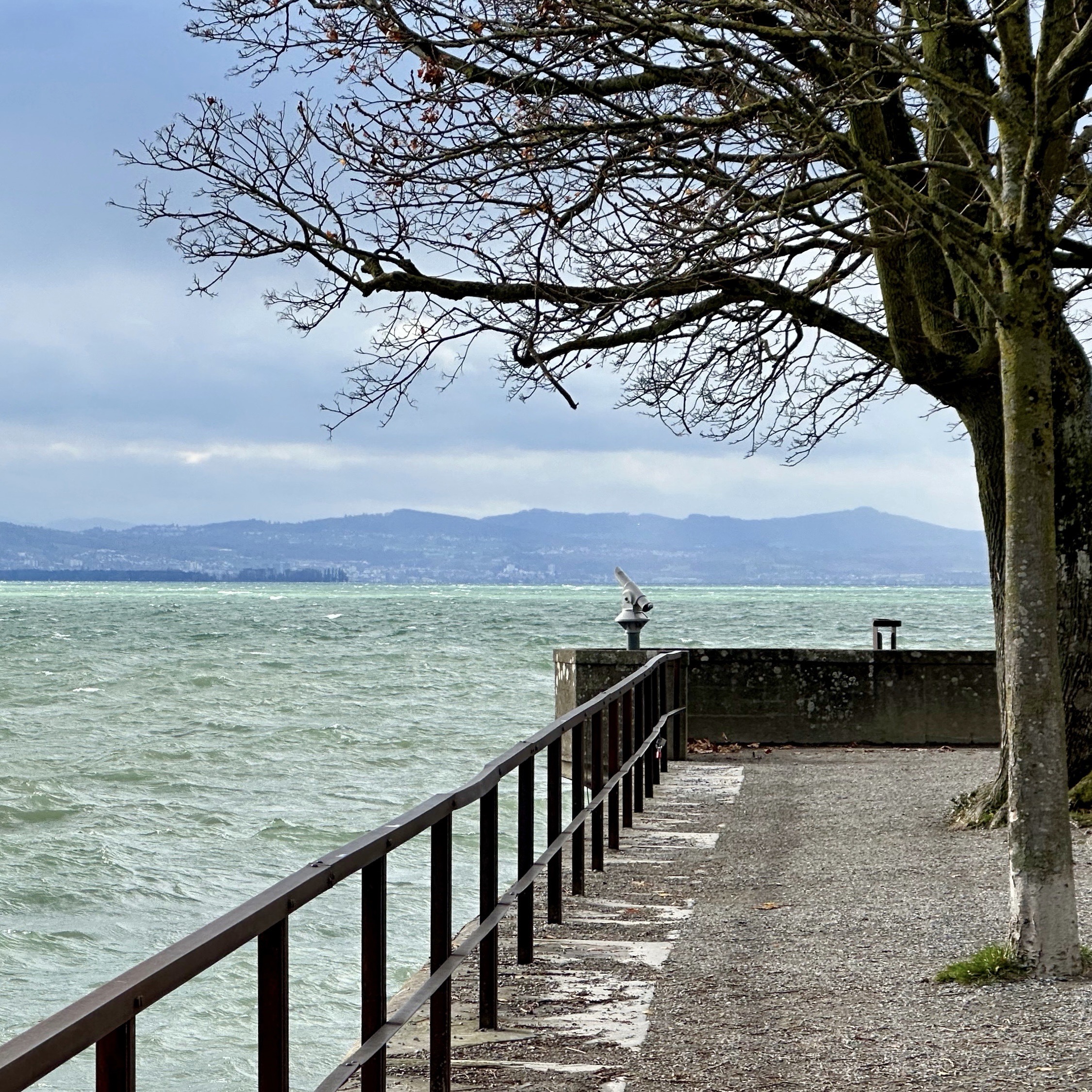 Guiding Architects, destination: Vorarlberg (Fig. 5)