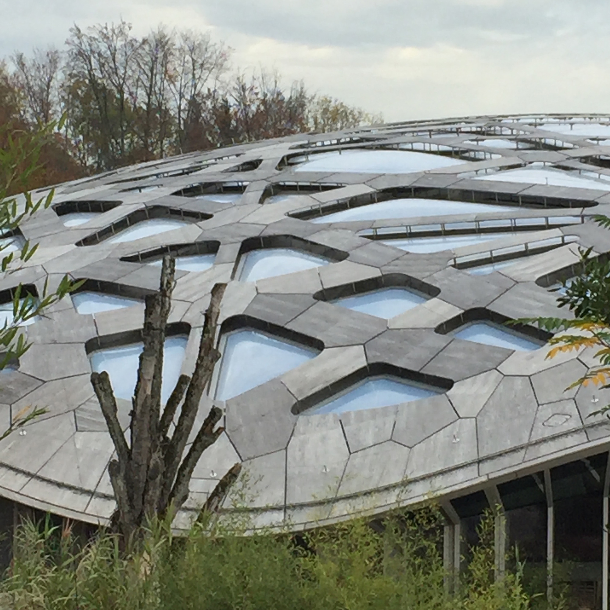 Guiding Architects, destination: Zurich (Fig. 2)