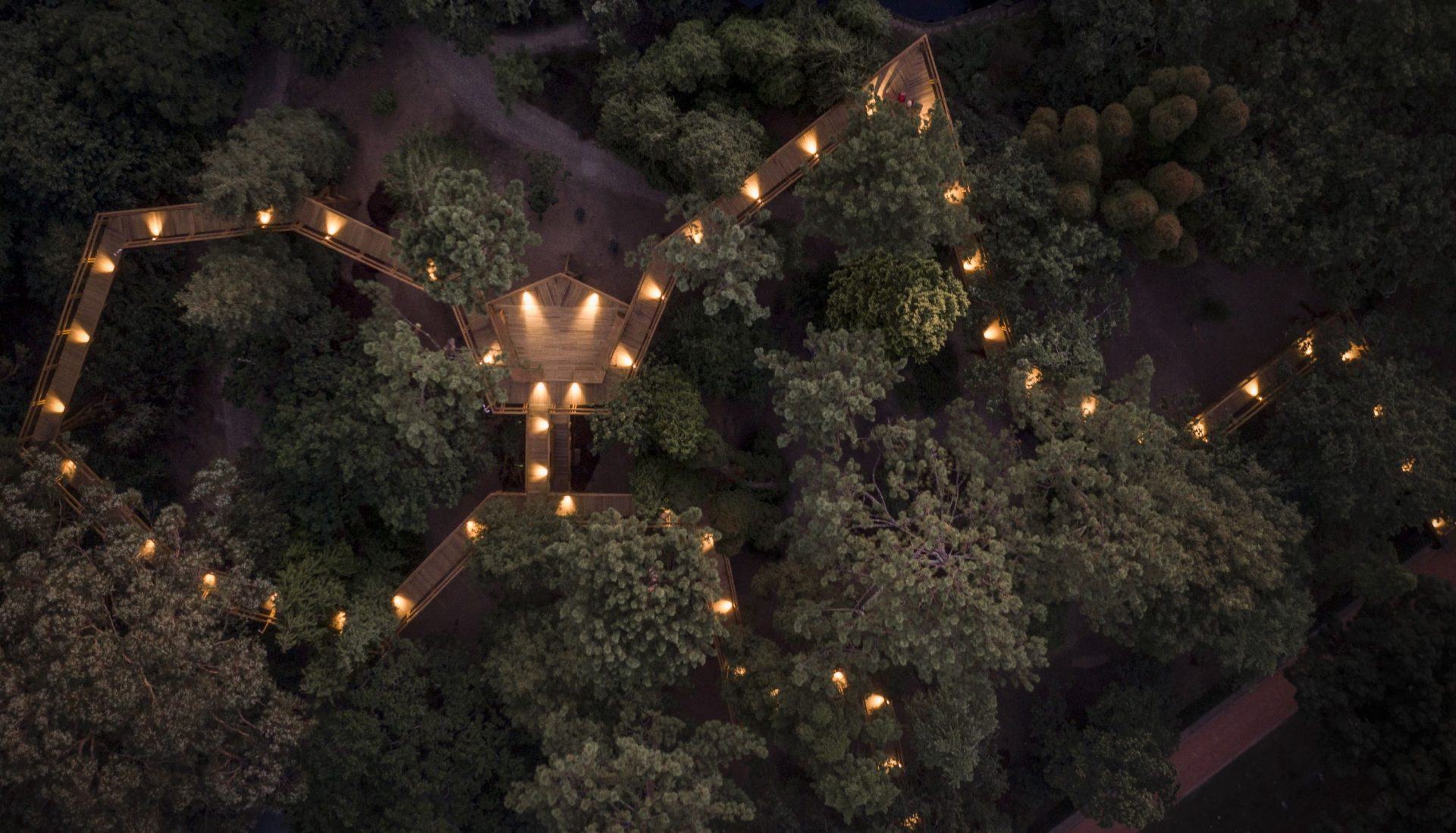 News: Serralves: House of Cinema Manoel de Oliveira and a Treetop Walk (Thumbnail)