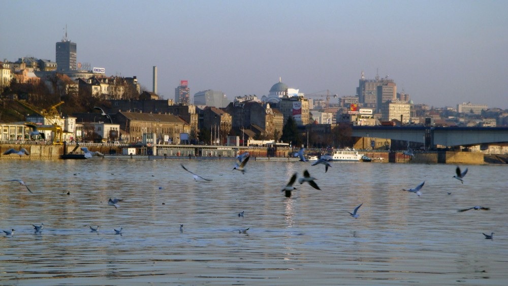 News: The new Waterfront Project of Belgrade (Thumbnail)