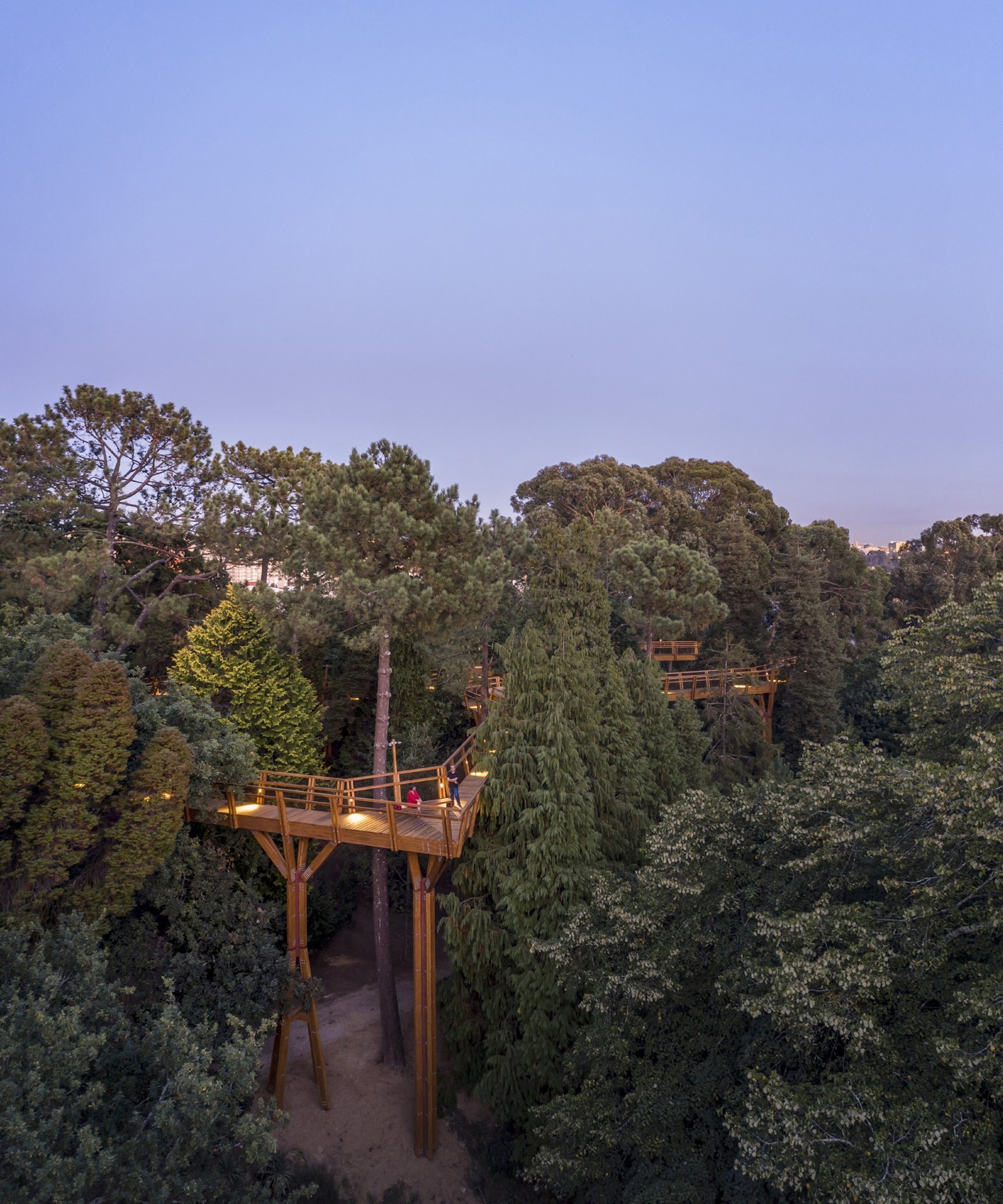 Guiding Architects, article: Serralves: Casa del Cine Manoel de Oliveira y Treetop Walk (Fig. 5)