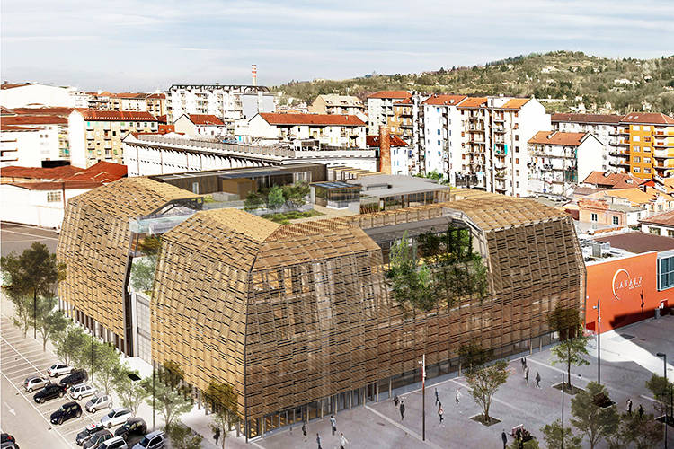 News: A Green Pea is growing in Turin (Thumbnail)