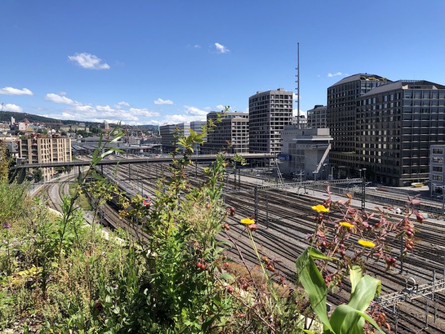 Guiding Architects, article: Guided tour in Zurich — Europaallee versus Zollhaus (Fig. 5)