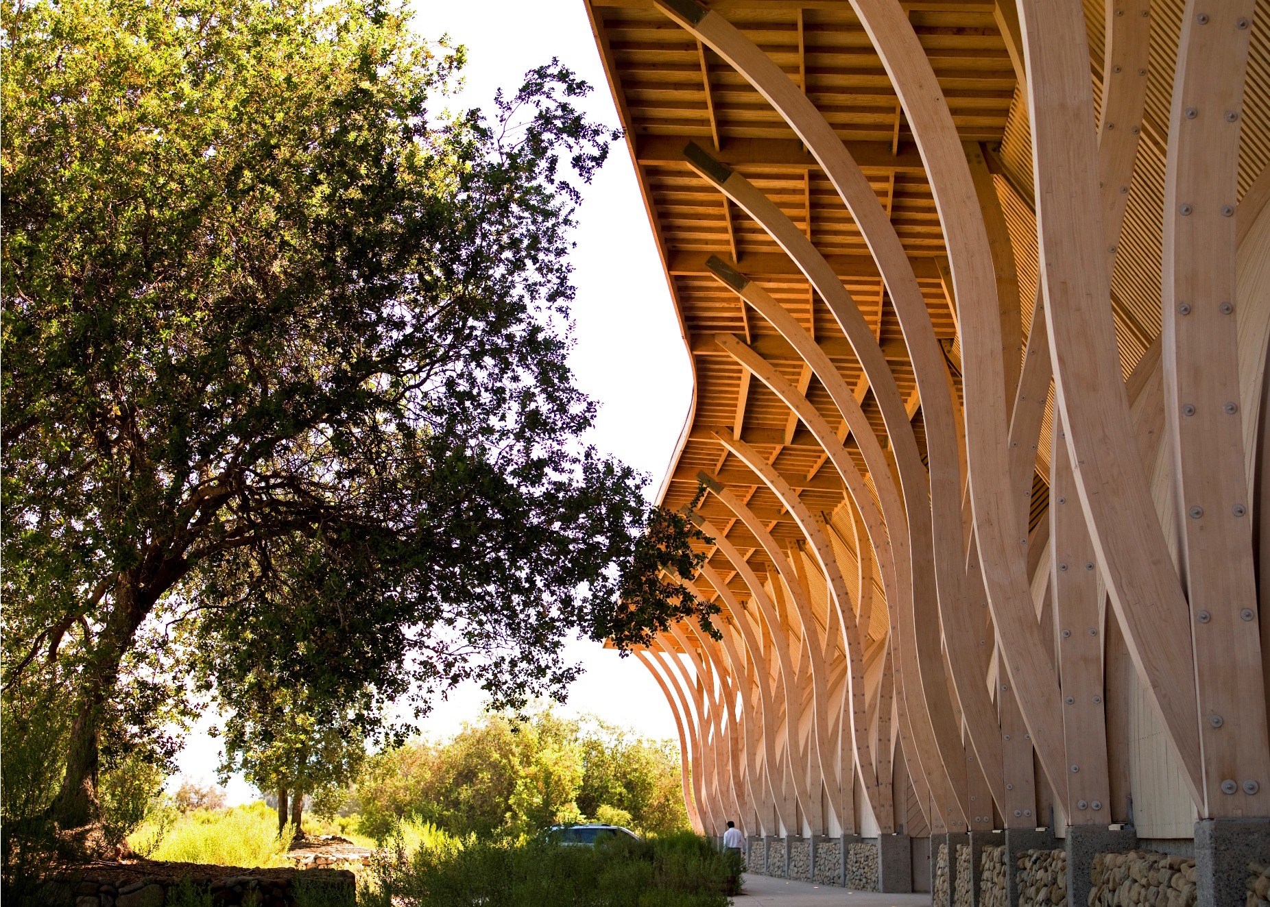 News: The construction of a new timber culture in Chile (Thumbnail)