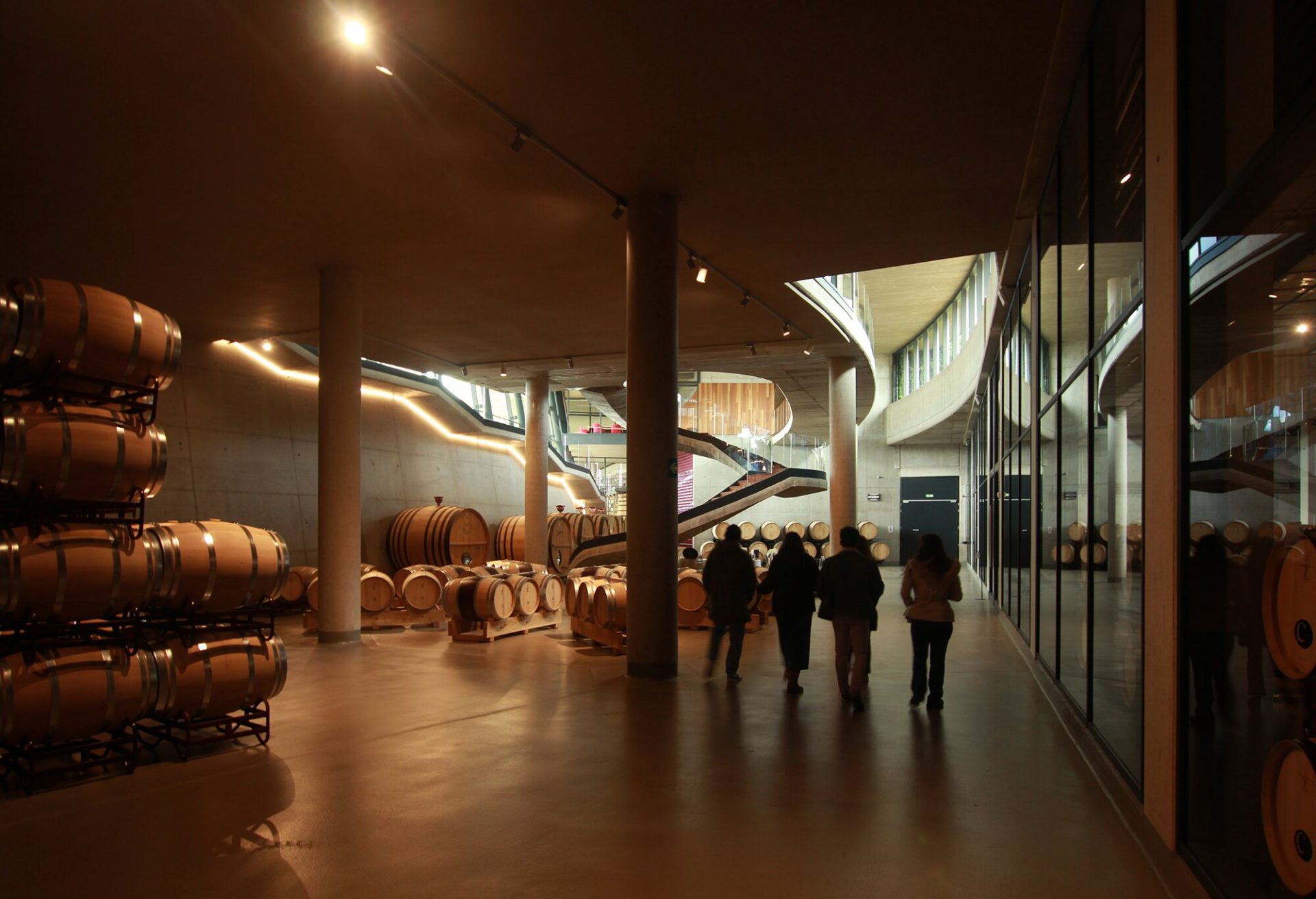Guiding Architects, article: Un nuevo destino para el enoturismo: la nueva bodega Beronia convence con un diseño sostenible e integración paisajística (Fig. 5)