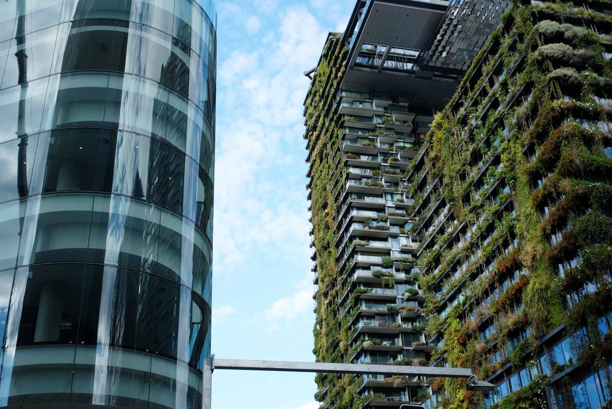News: Is “urban renewal” a euphemism? (Thumbnail)