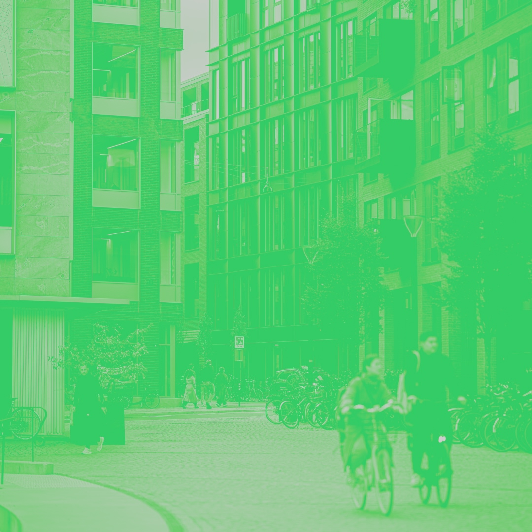 Network: Masterplan for Carlsberg Byen (Thumbnail)