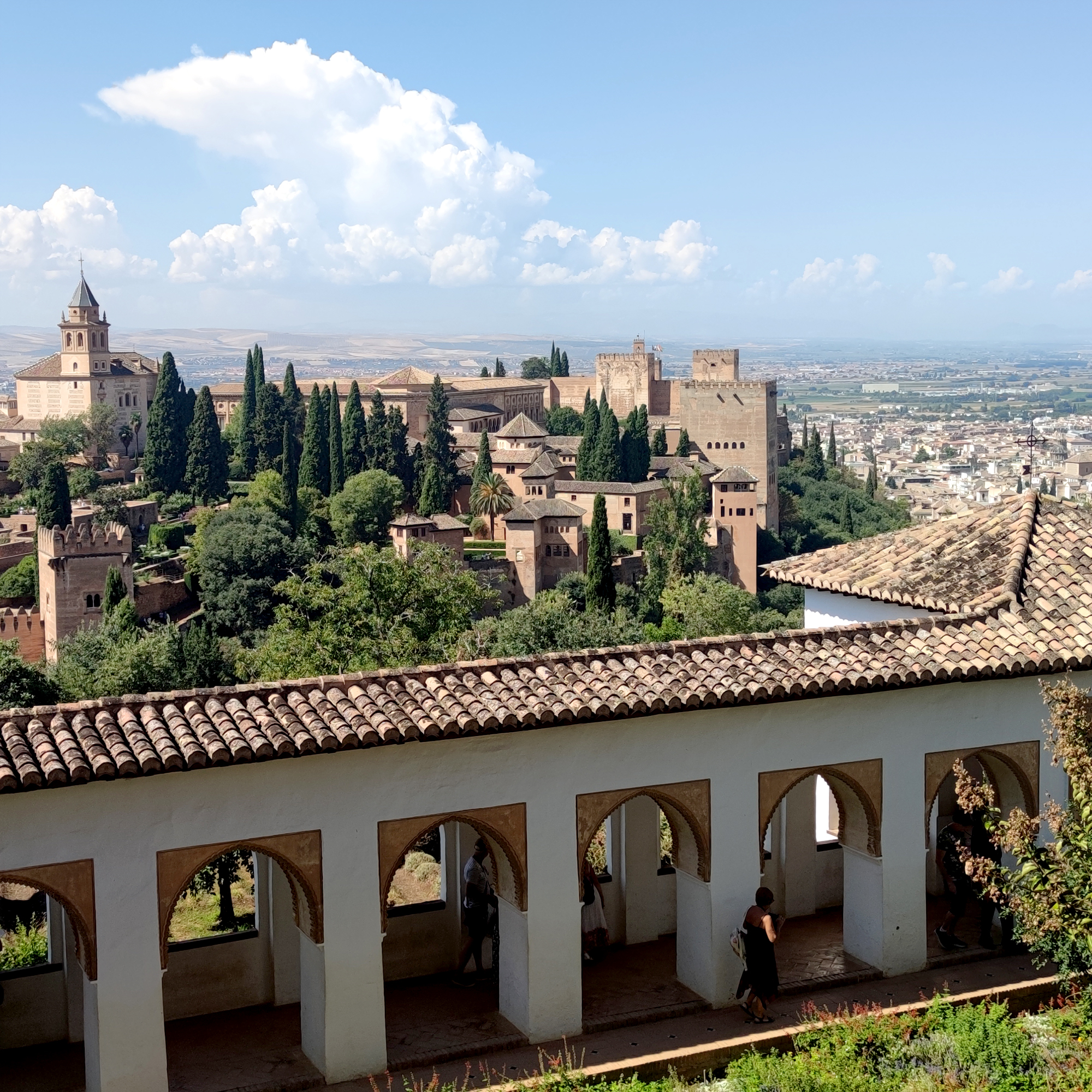 Guiding Architects, tour: Alhambra: City and Territory (Fig. 2)