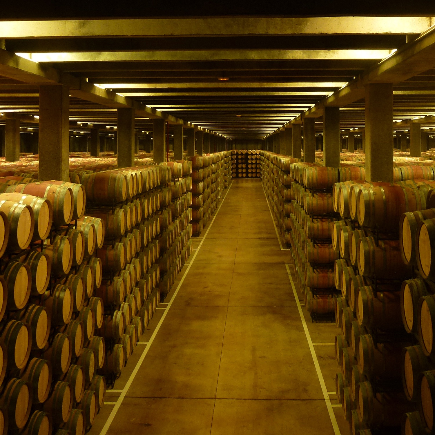 Guiding Architects, tour: Architectural Gems in the Rioja Wine Area (Fig. 6)
