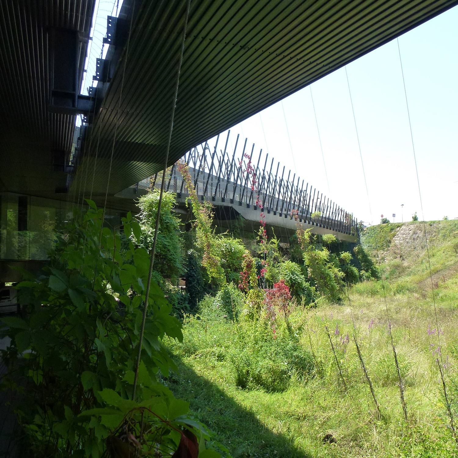 Guiding Architects, tour: Architectural Gems in the Rioja Wine Area (Fig. 5)