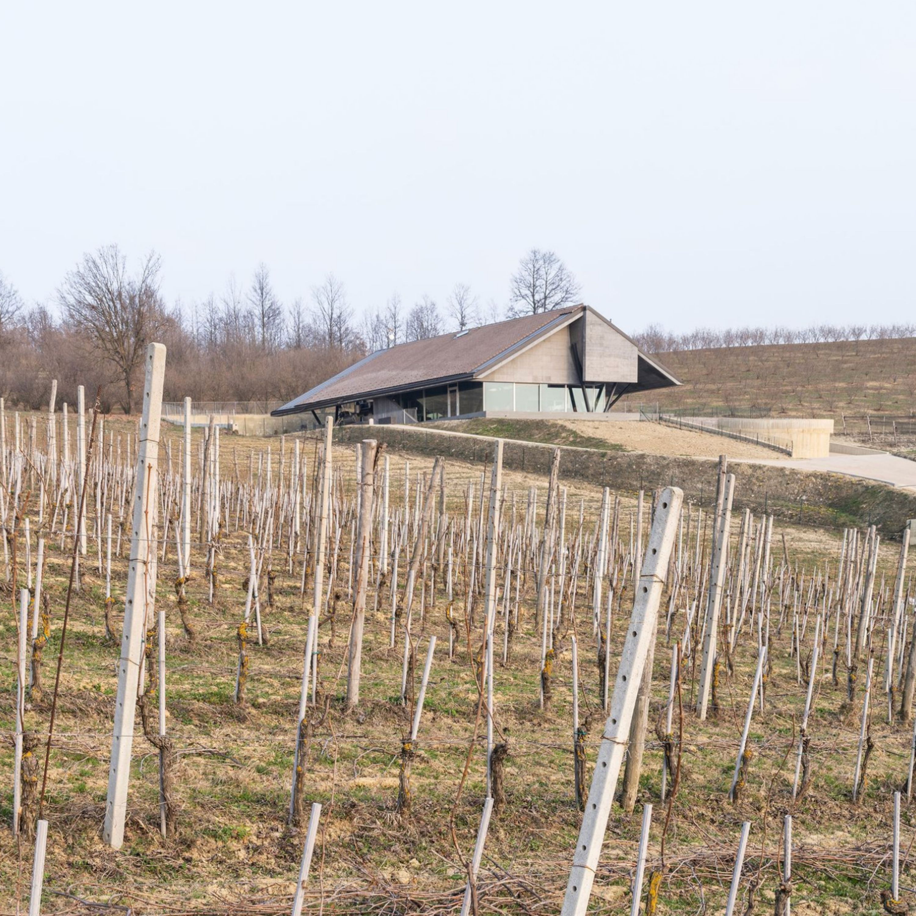 Guiding Architects, tour: Architecture & Wine (Fig. 1)