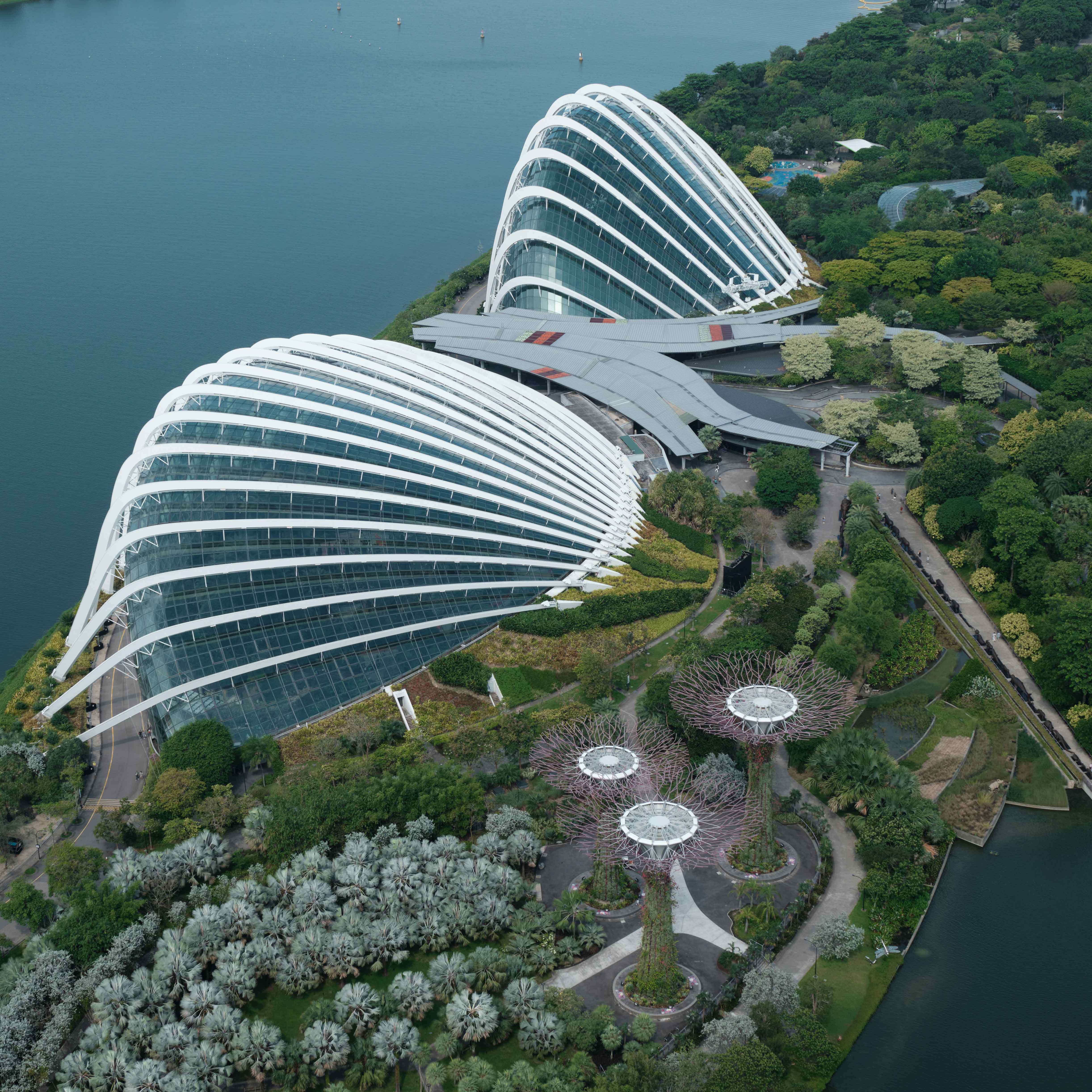 Singapore: City in Nature (Thumbnail)